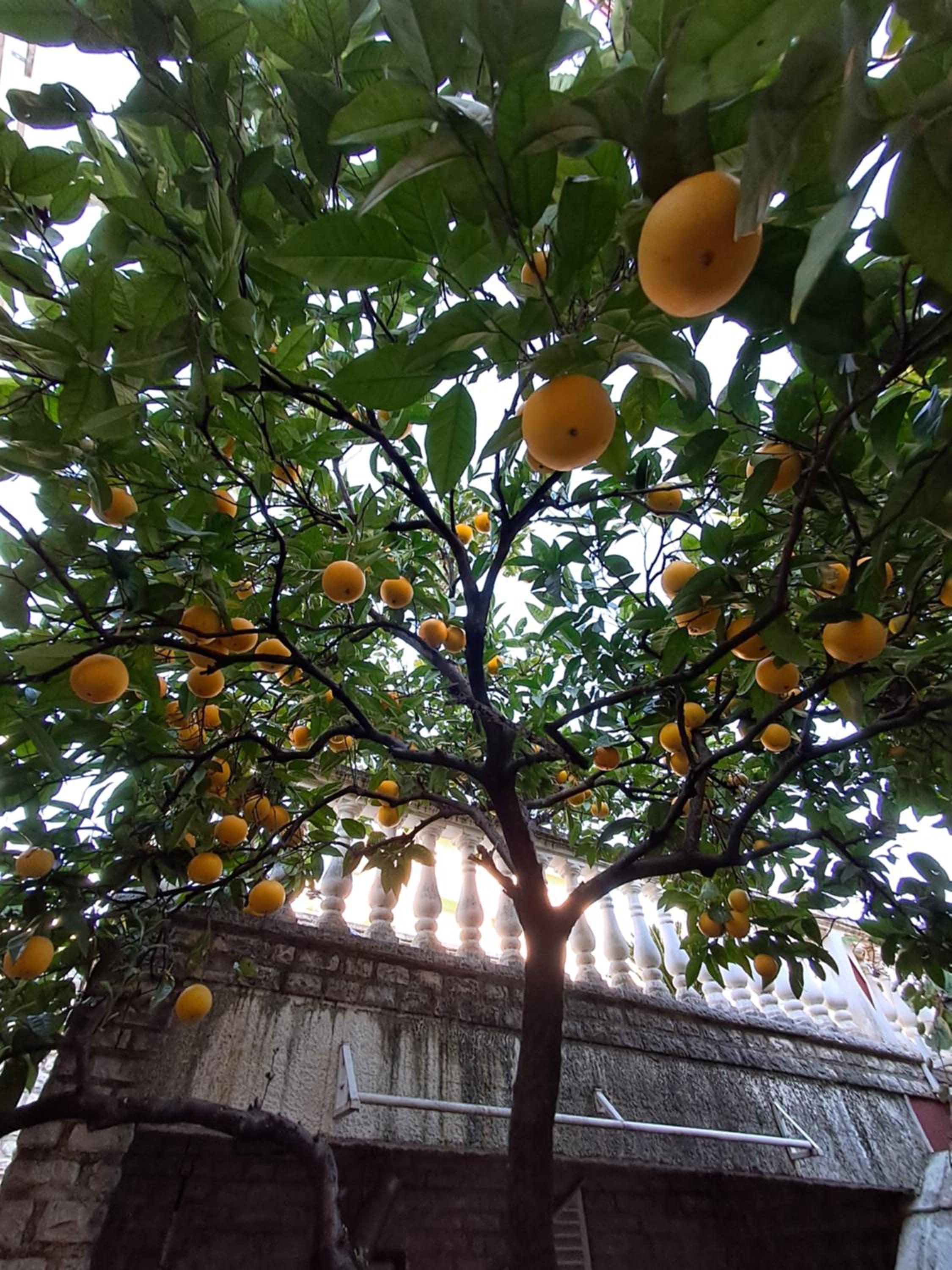 Hotel Lucky Apartments - Image 1