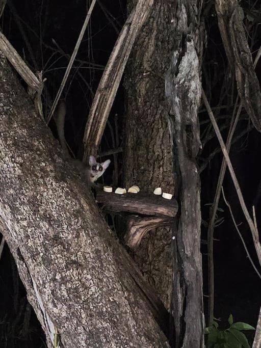 Kruger Amani Bush Retreat