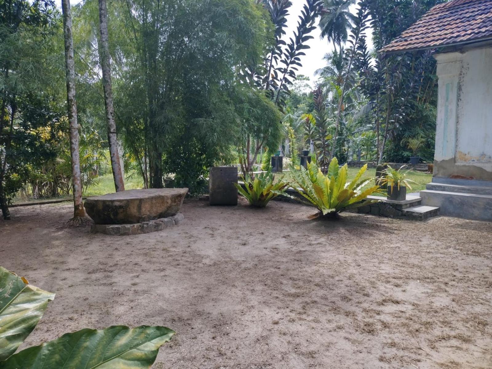 The Chat & Chill view 5