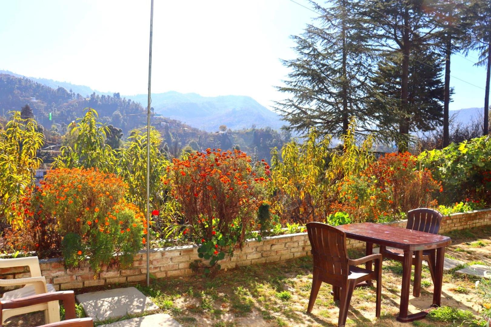 Green Valley Homestay