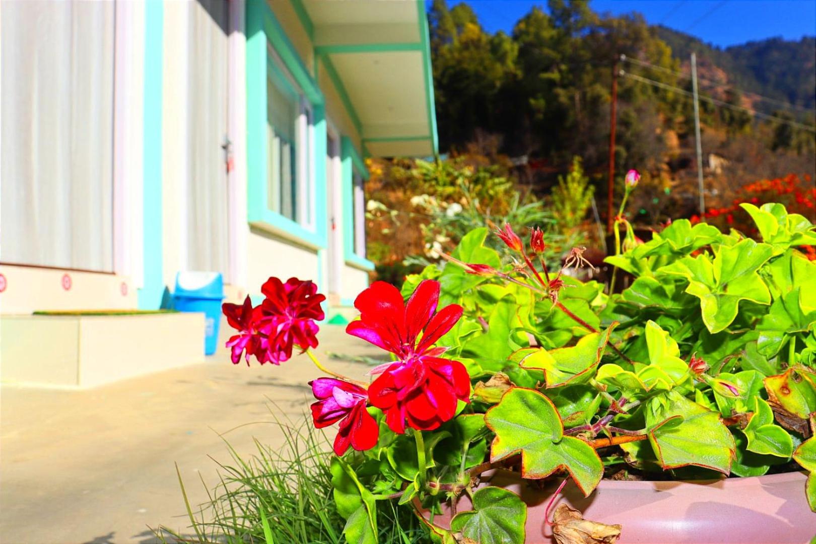 Green Valley Homestay