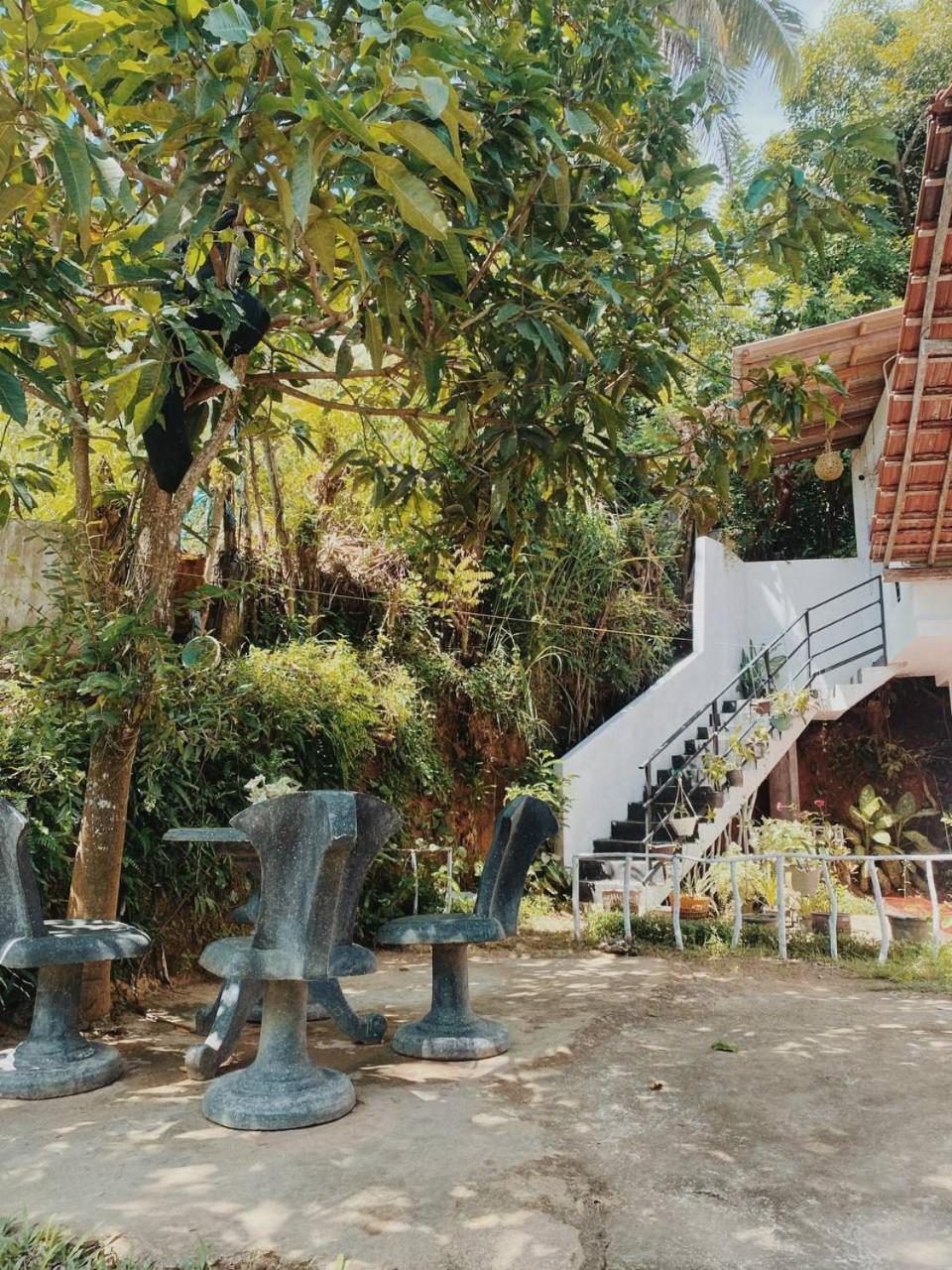 Rustic Inn