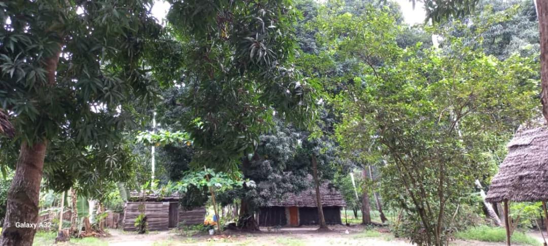 Kv Jungle Bungalows view 5