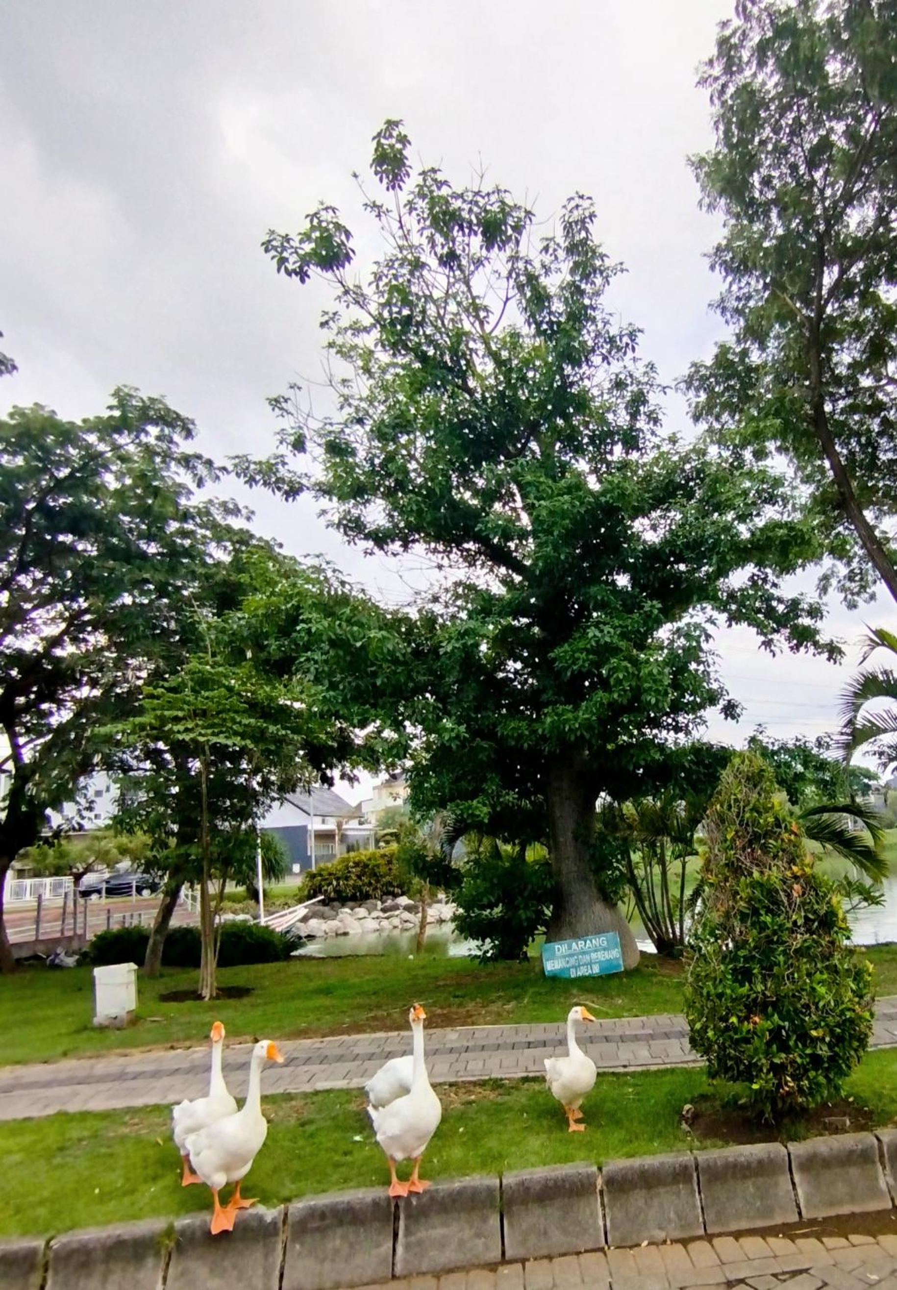 Cheery Home Surabaya 10 mins toll near Pakuwon Mall