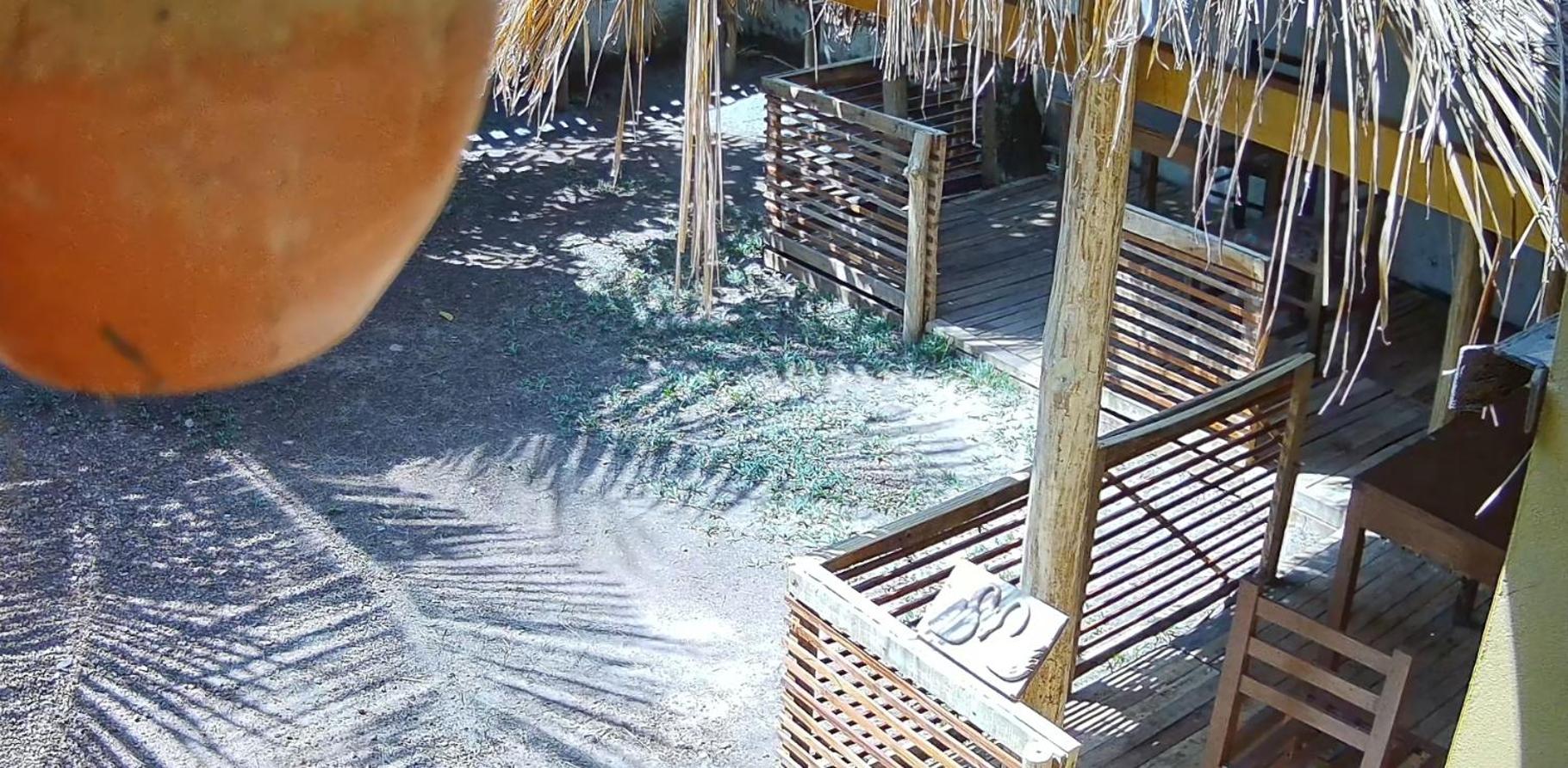 SP Taru Surf Camp&Restaurant view 3