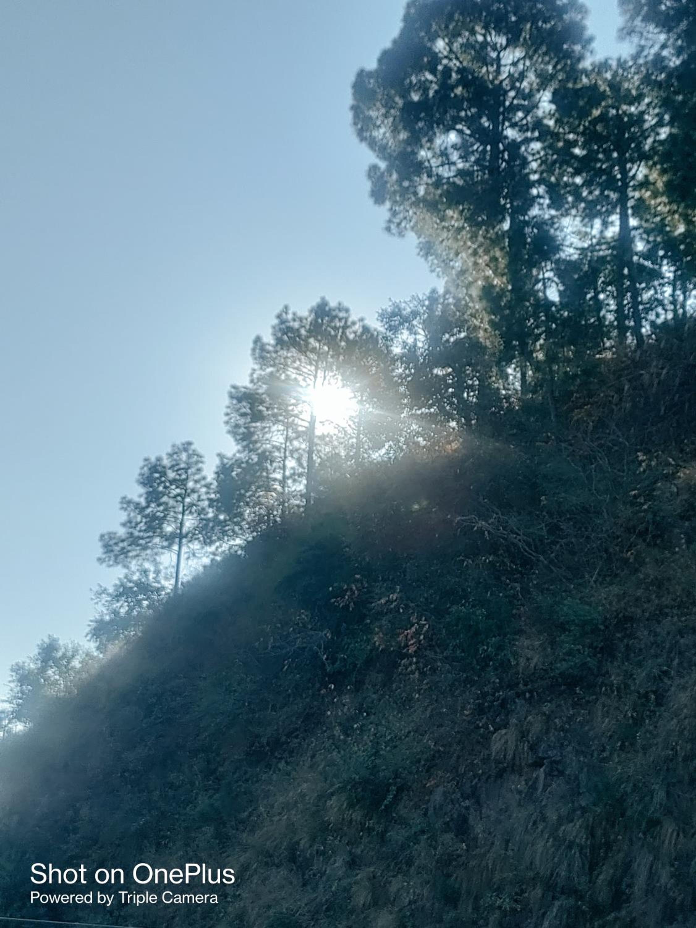 Himalayan House