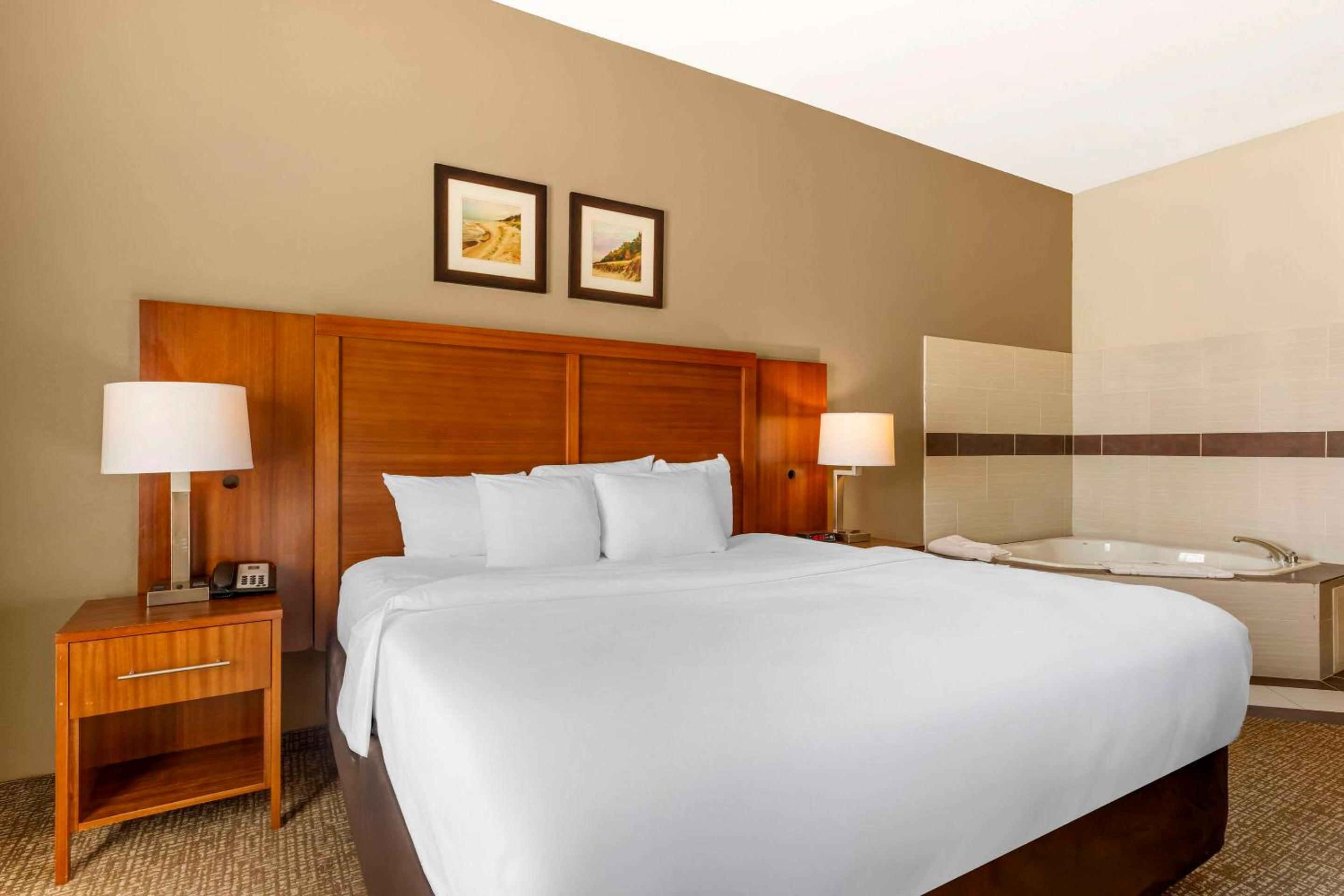 Comfort Inn & Suites Porter near Indiana Dunes, 사진 35
