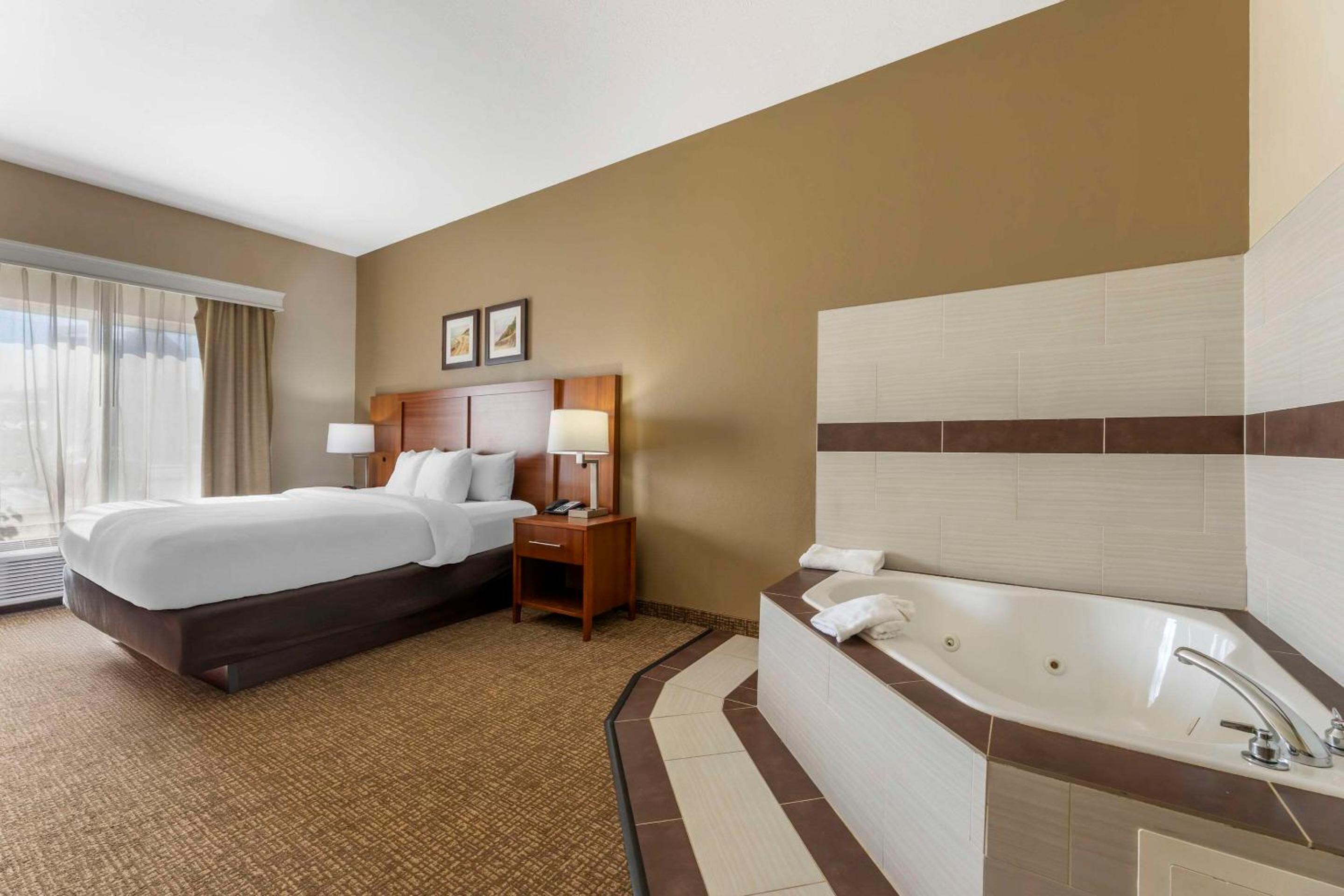 Comfort Inn & Suites Porter near Indiana Dunes, 사진 20