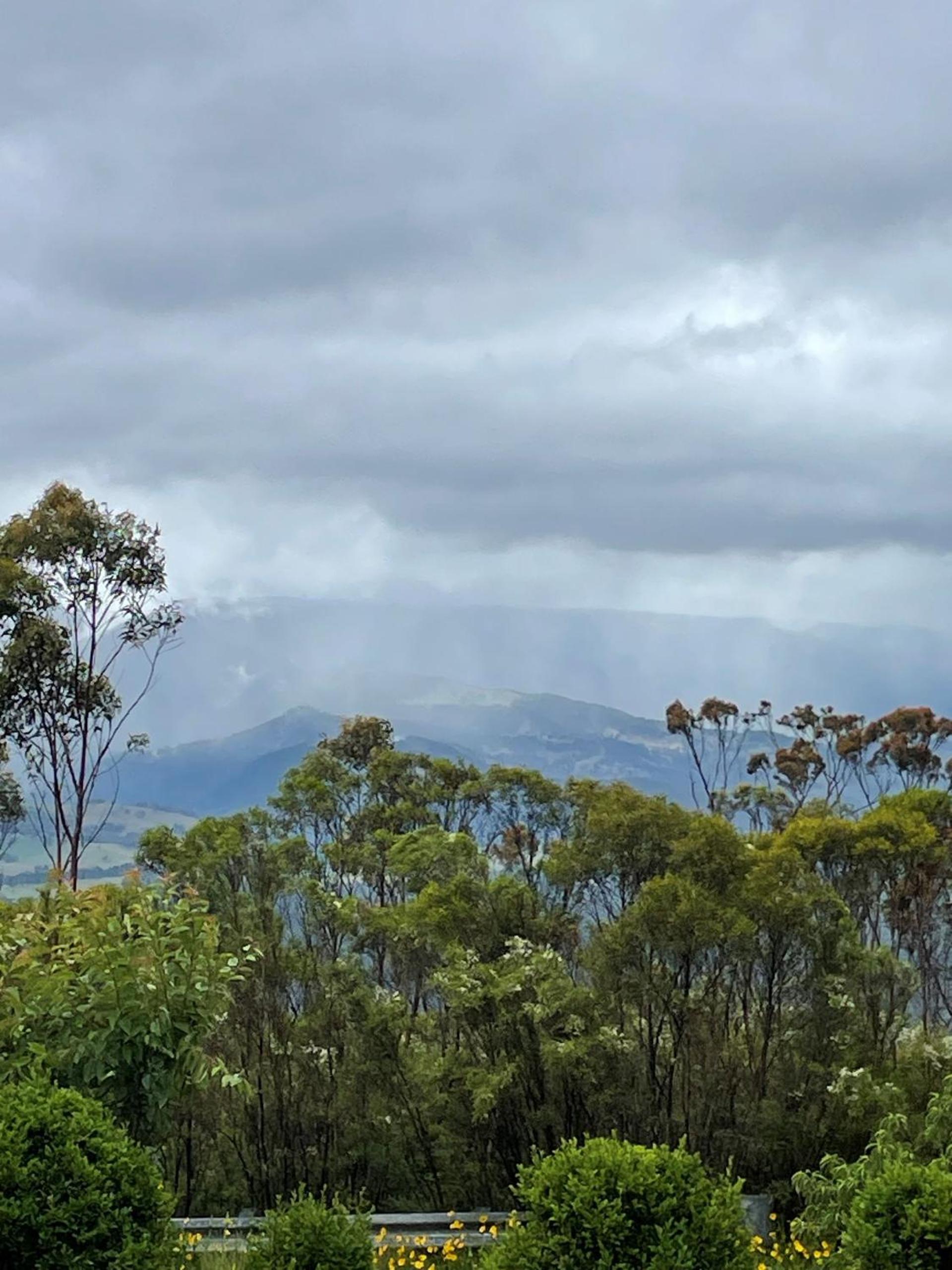 Megalong Views