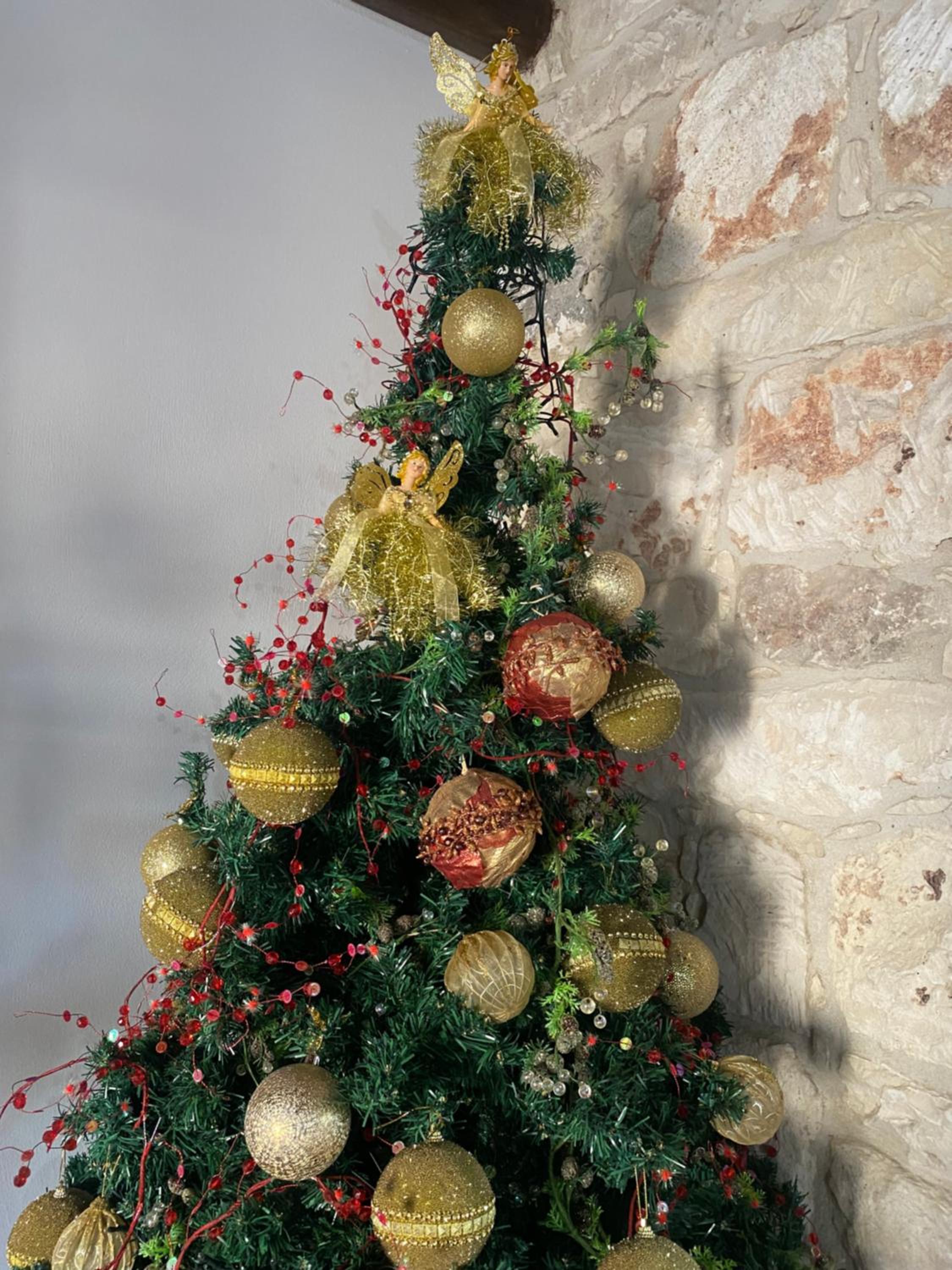 C-elena Suite