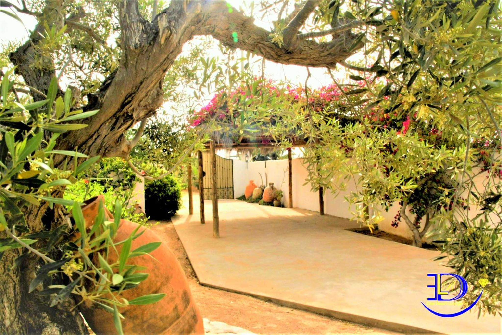 Villa Haut Standing Bouganvillier, Djerba Tunisie view 5