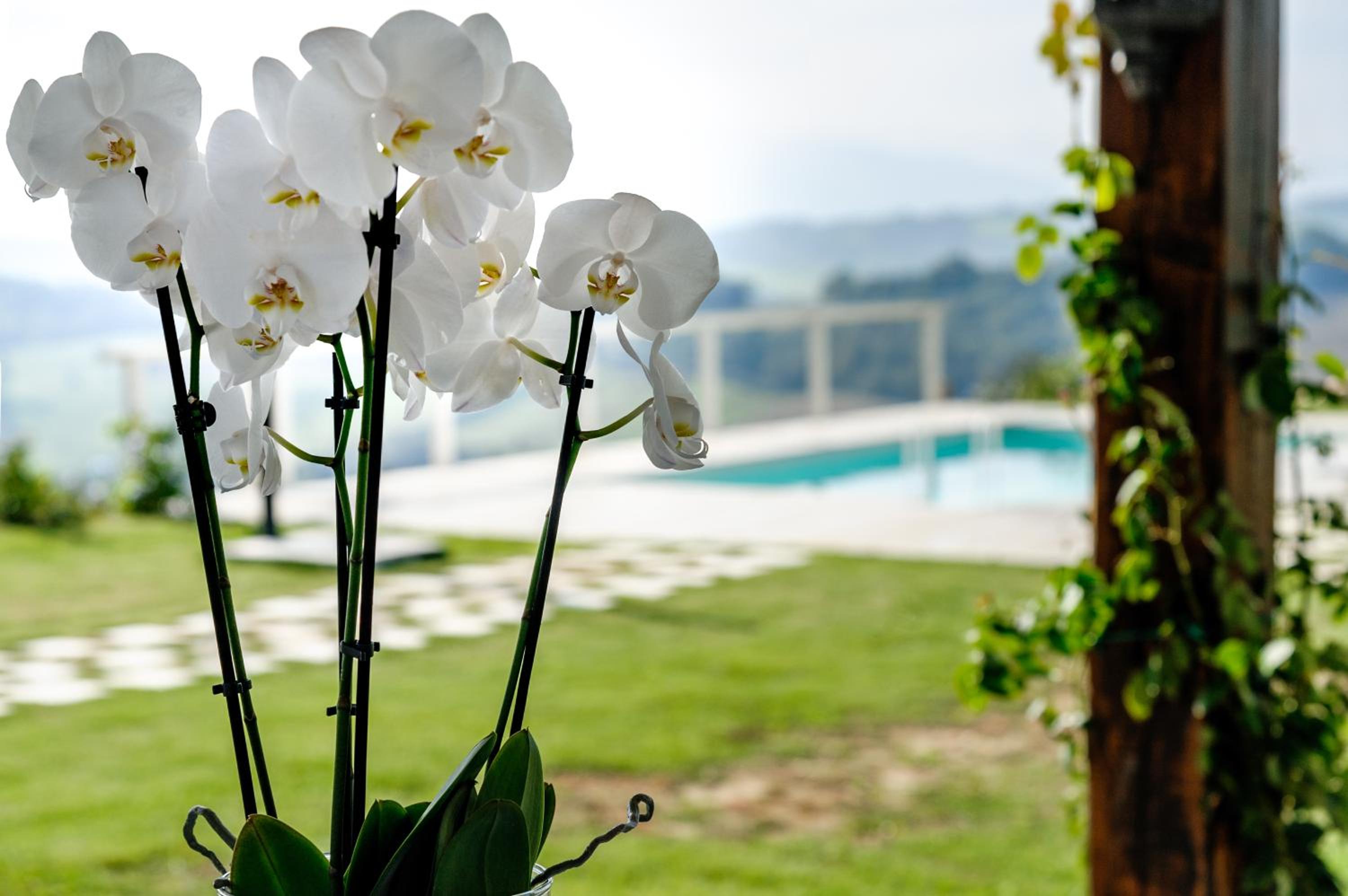 Villa Fonte a Colle