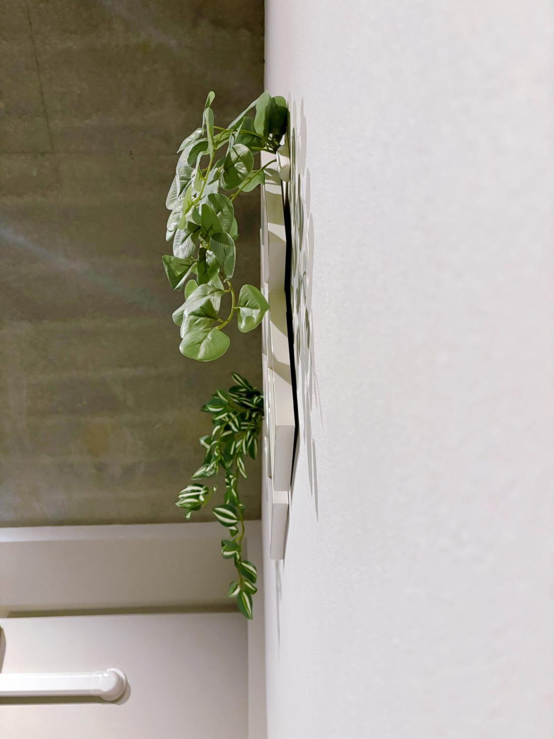The Rosemary Shinokubo