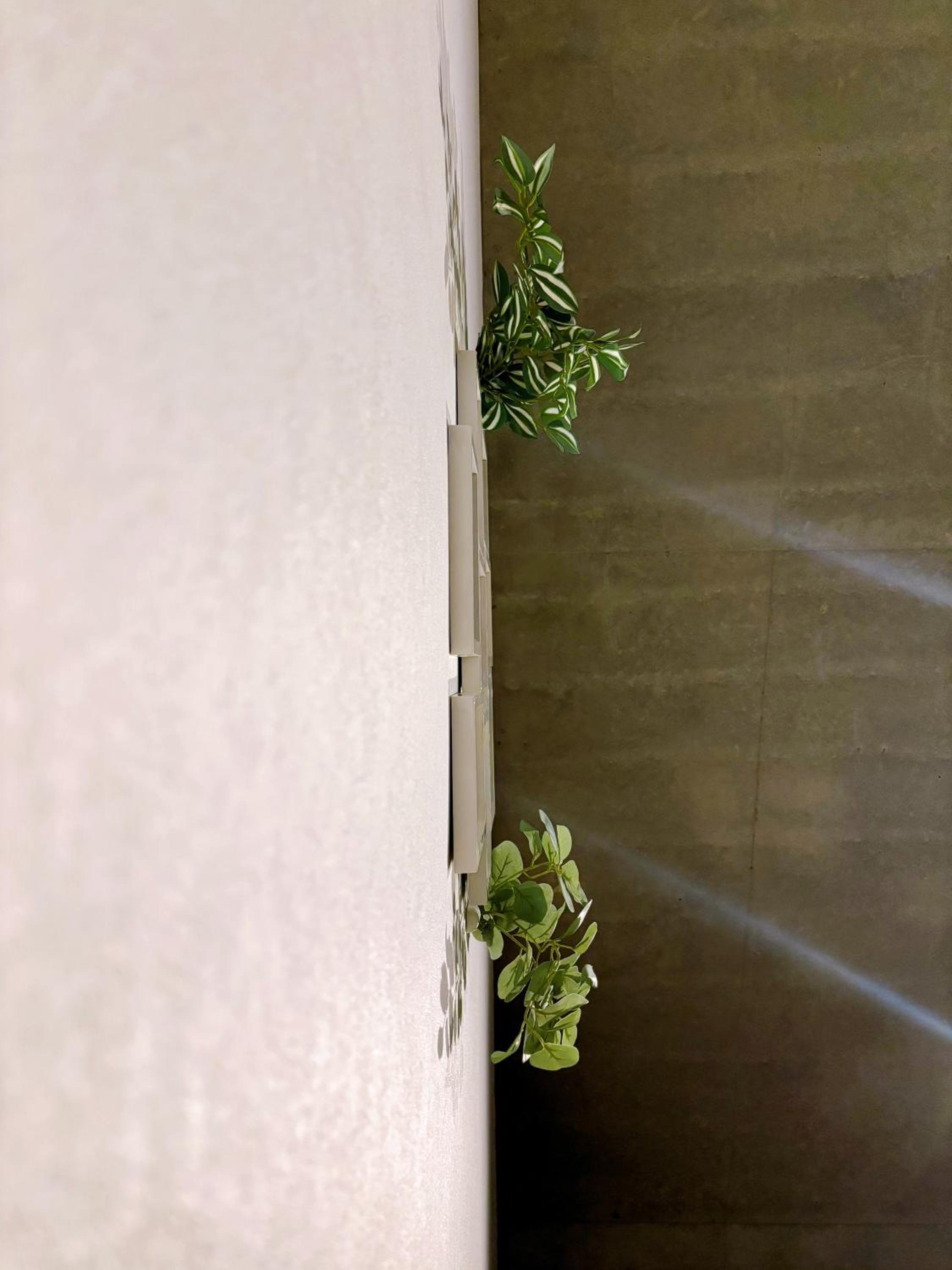 The Rosemary Shinokubo