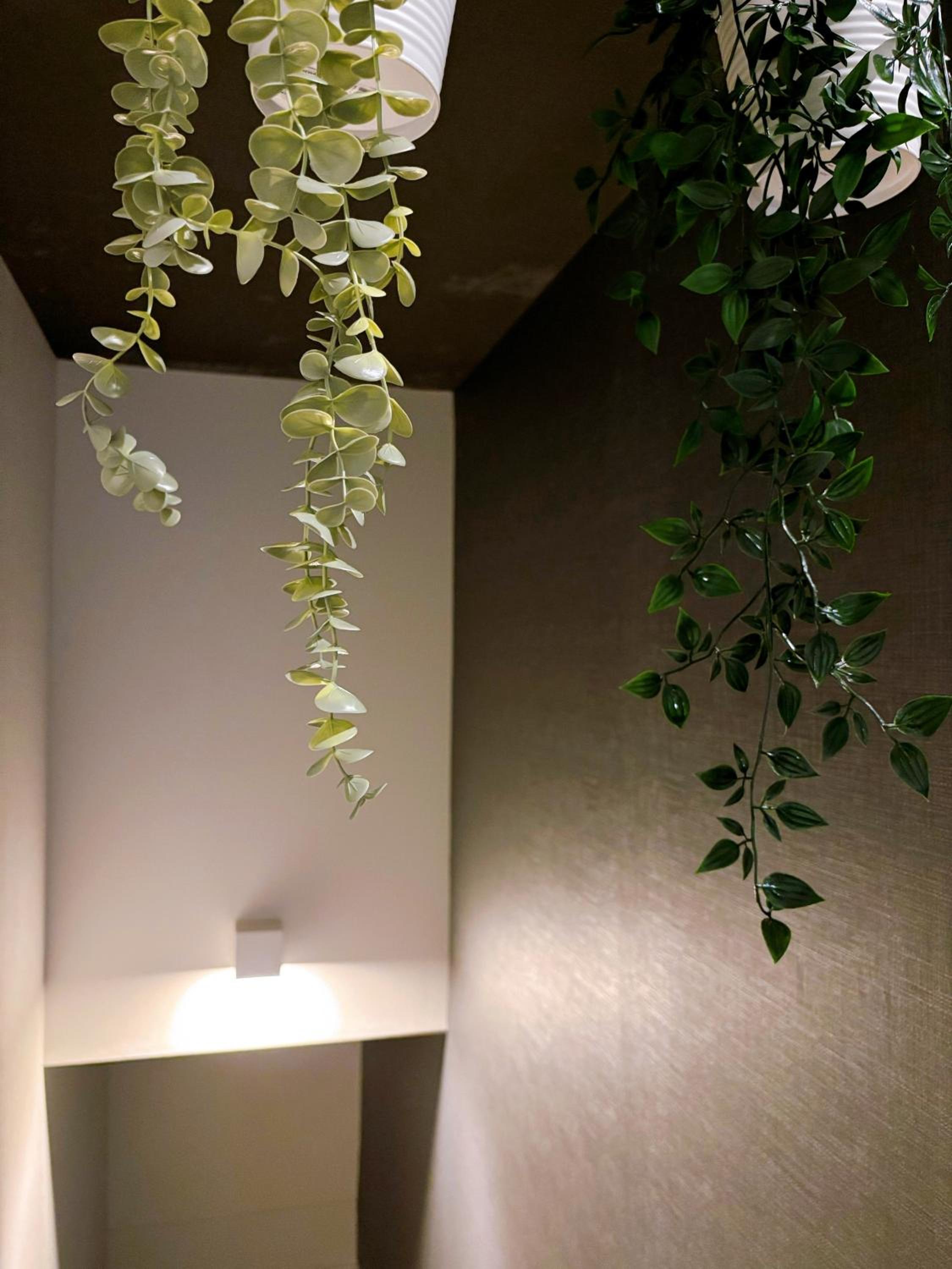 The Rosemary Shinokubo