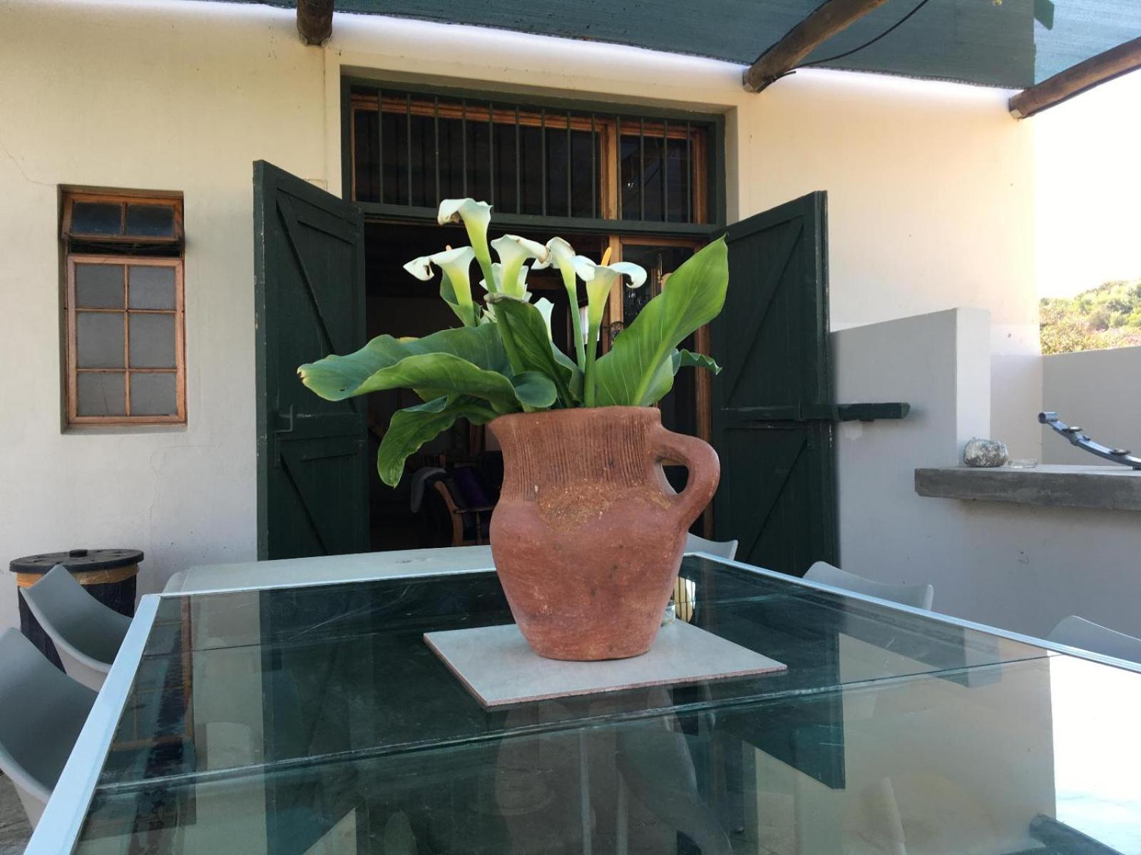 Merwespont Guesthouses#DieHouthuis#Die Wyntenke#A Snoozer's Cottage# view 4