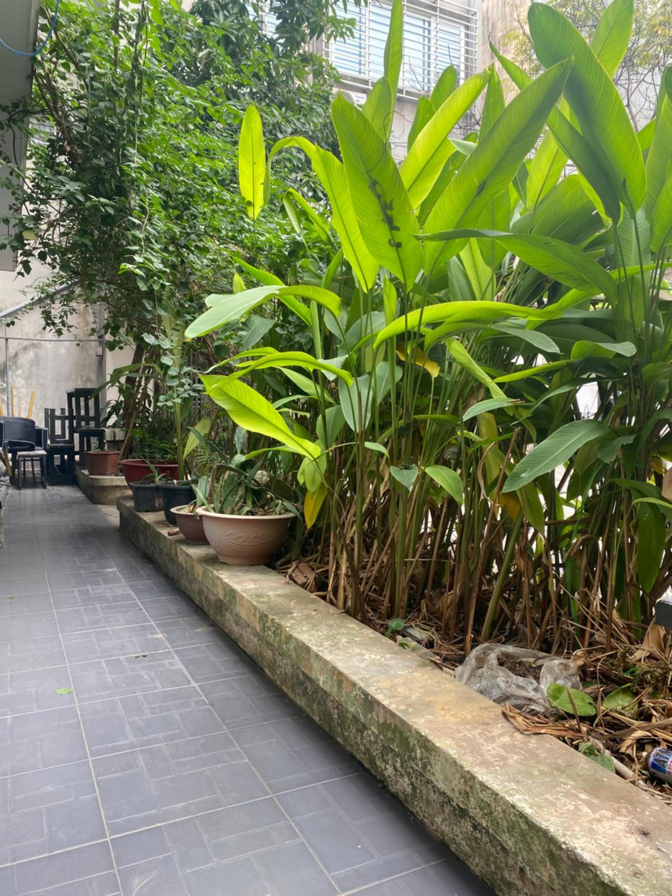 Michi house Chương Dương Độ, máy chiếu, bếp riêng, 600m đến phố đi bộ và Hồ Hoàn Kiếm