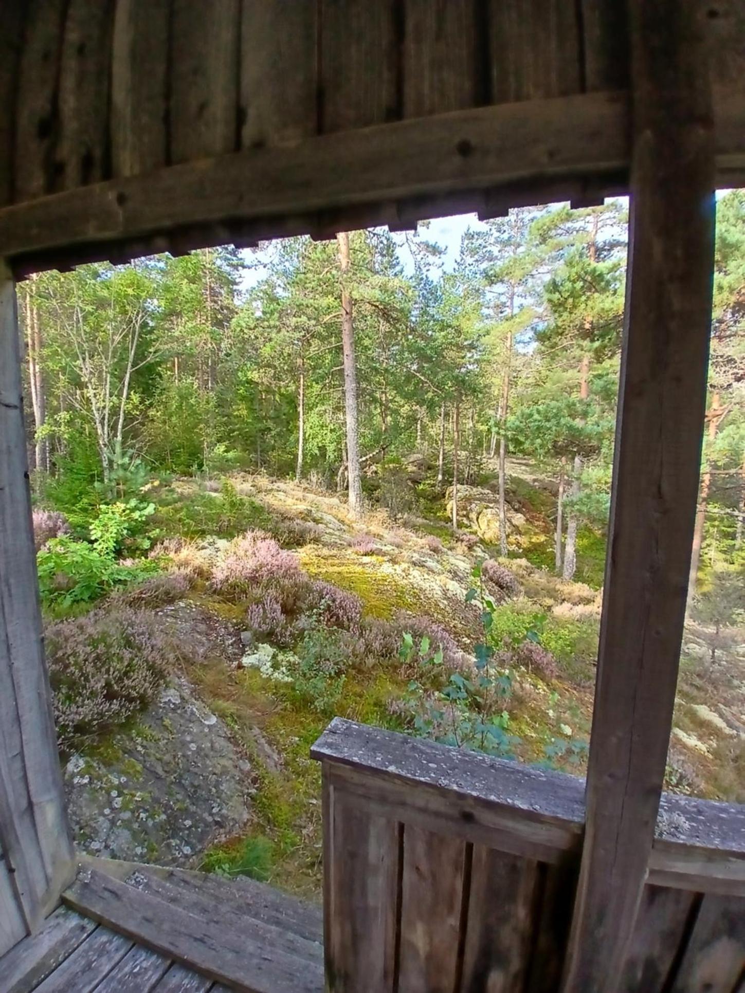 Utsikten