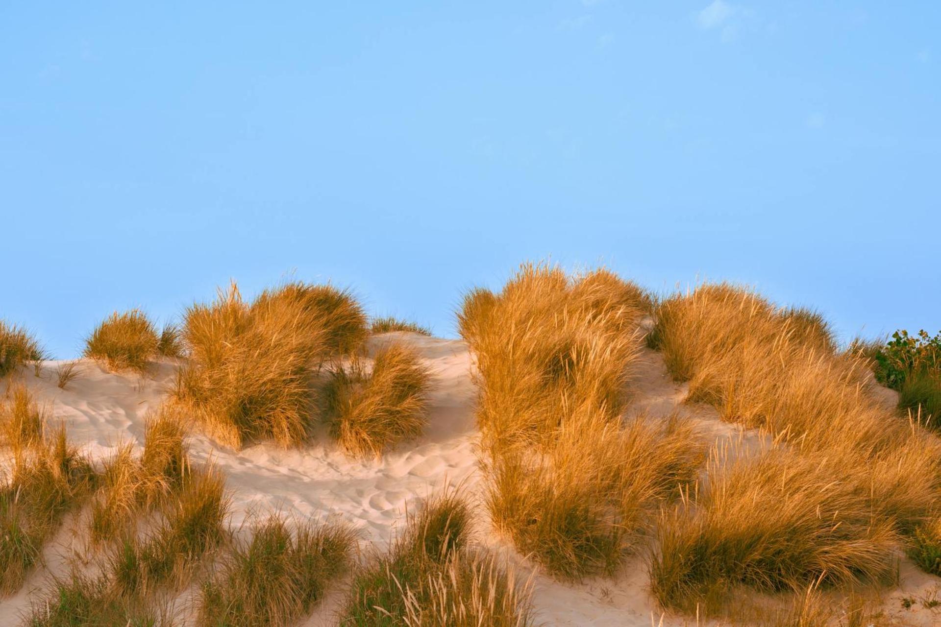 Rustig en luxueus app met zwembad vlak bij strand