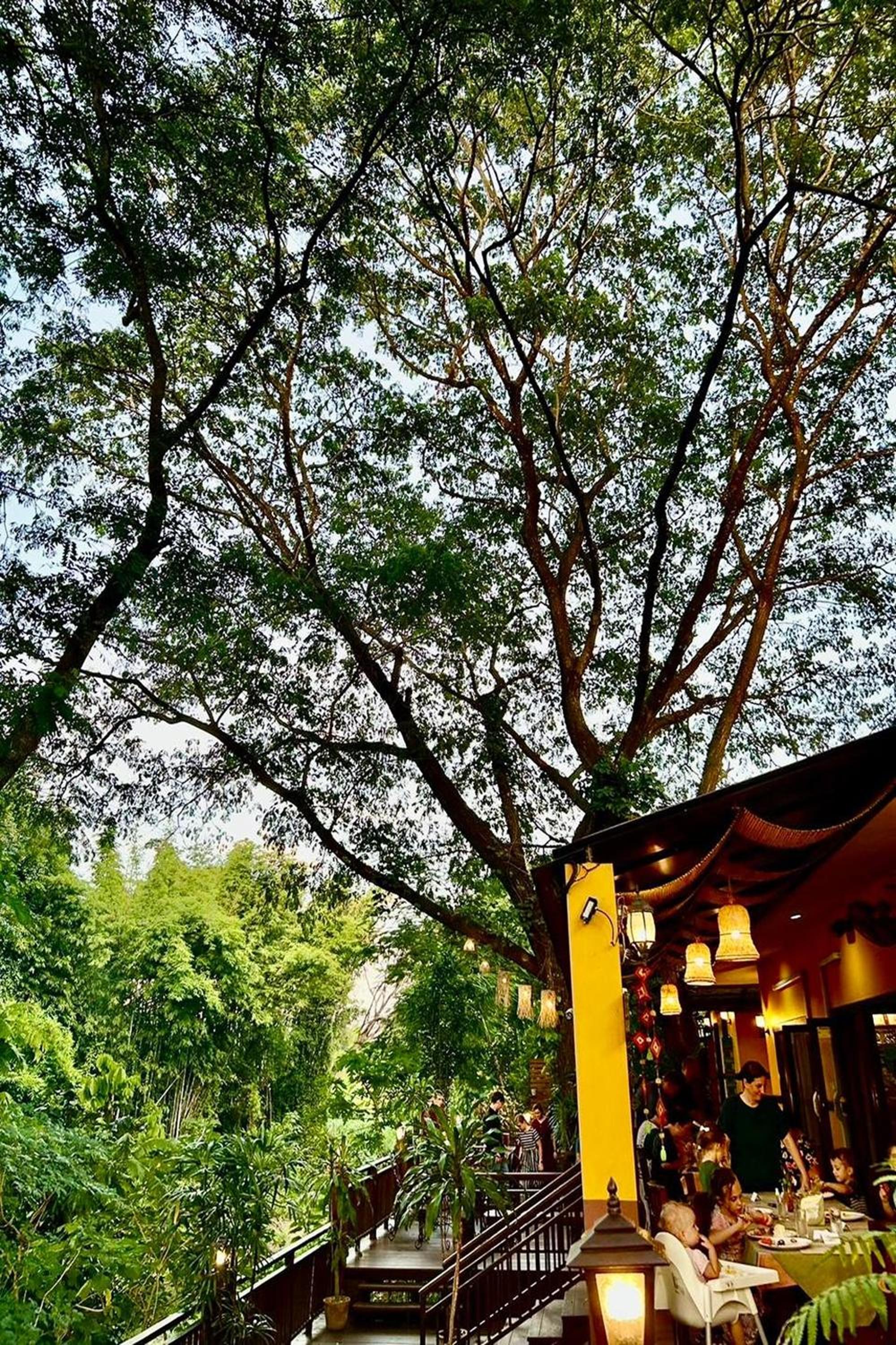 Papai Country Lodge SHA