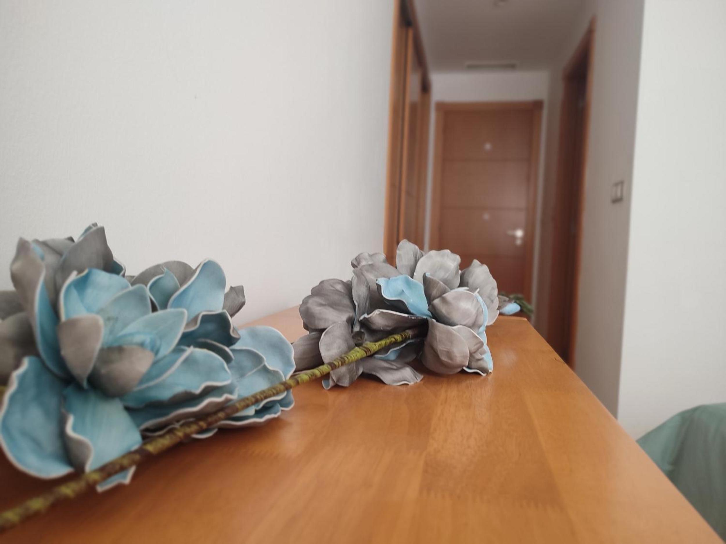 Apartamento Residencial Duquesa