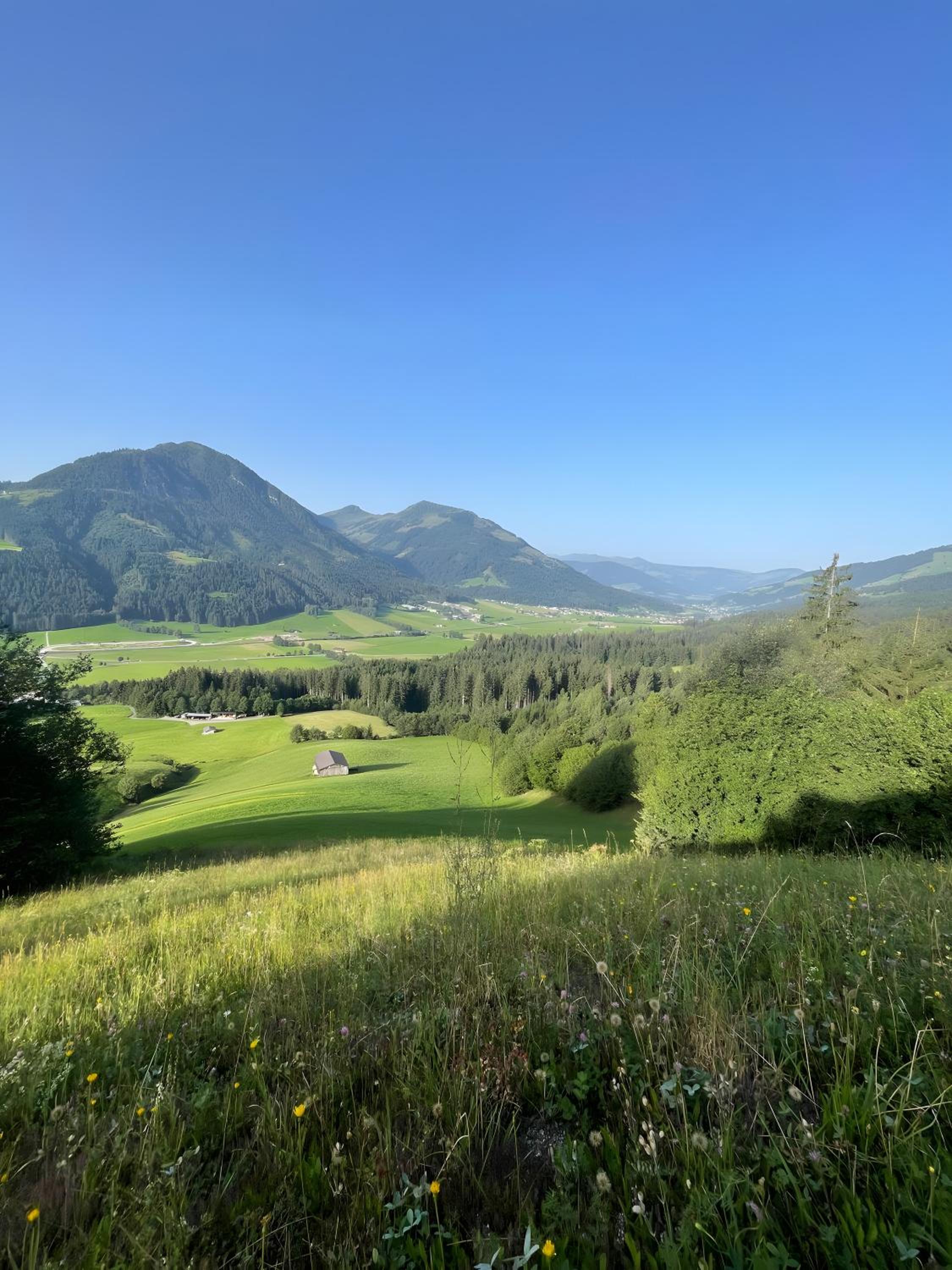 Sonnberg - Urig Mit Weitblick