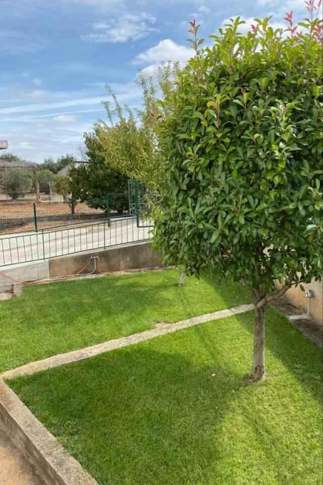 Photo 18