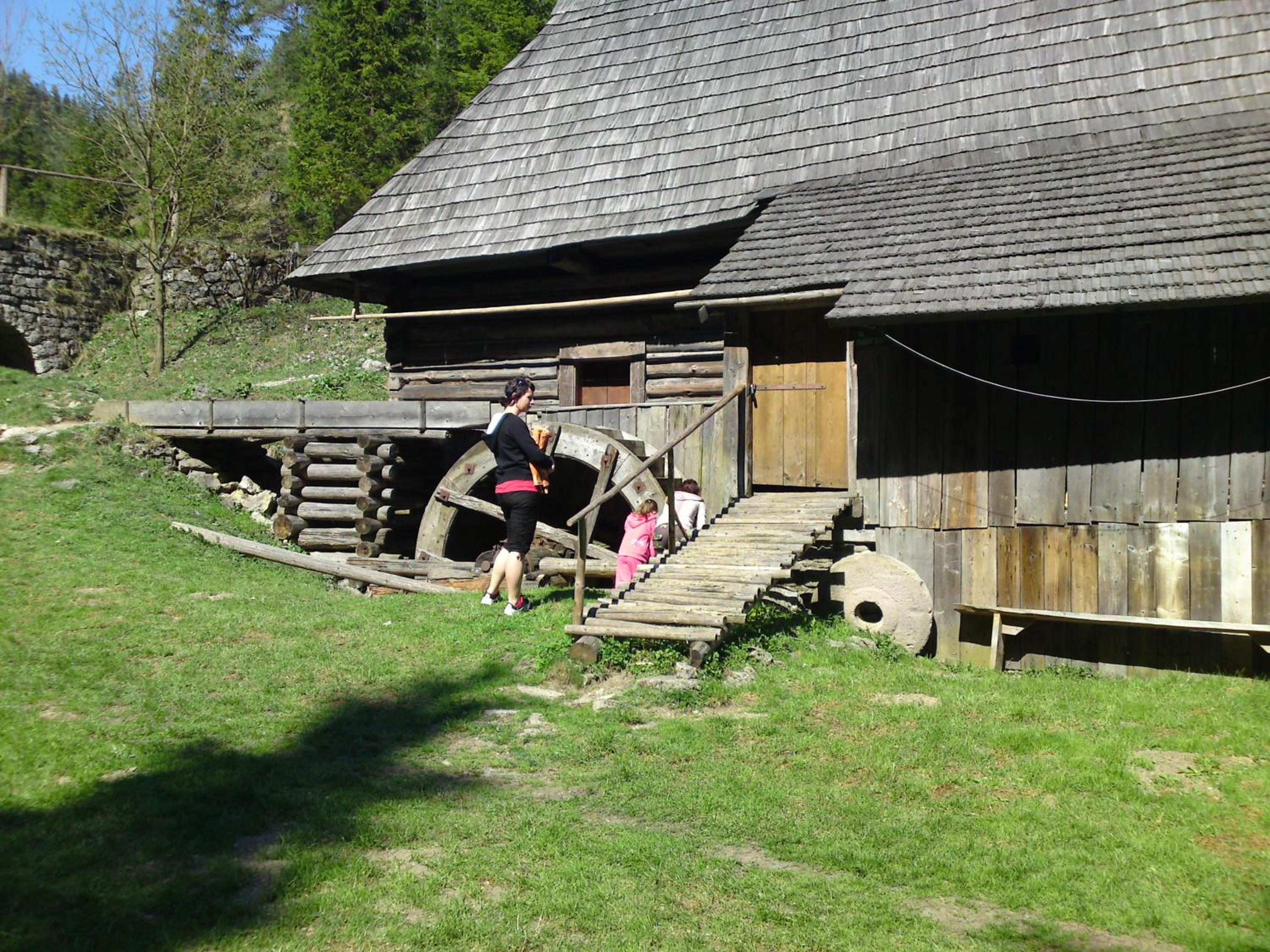 Photo 45