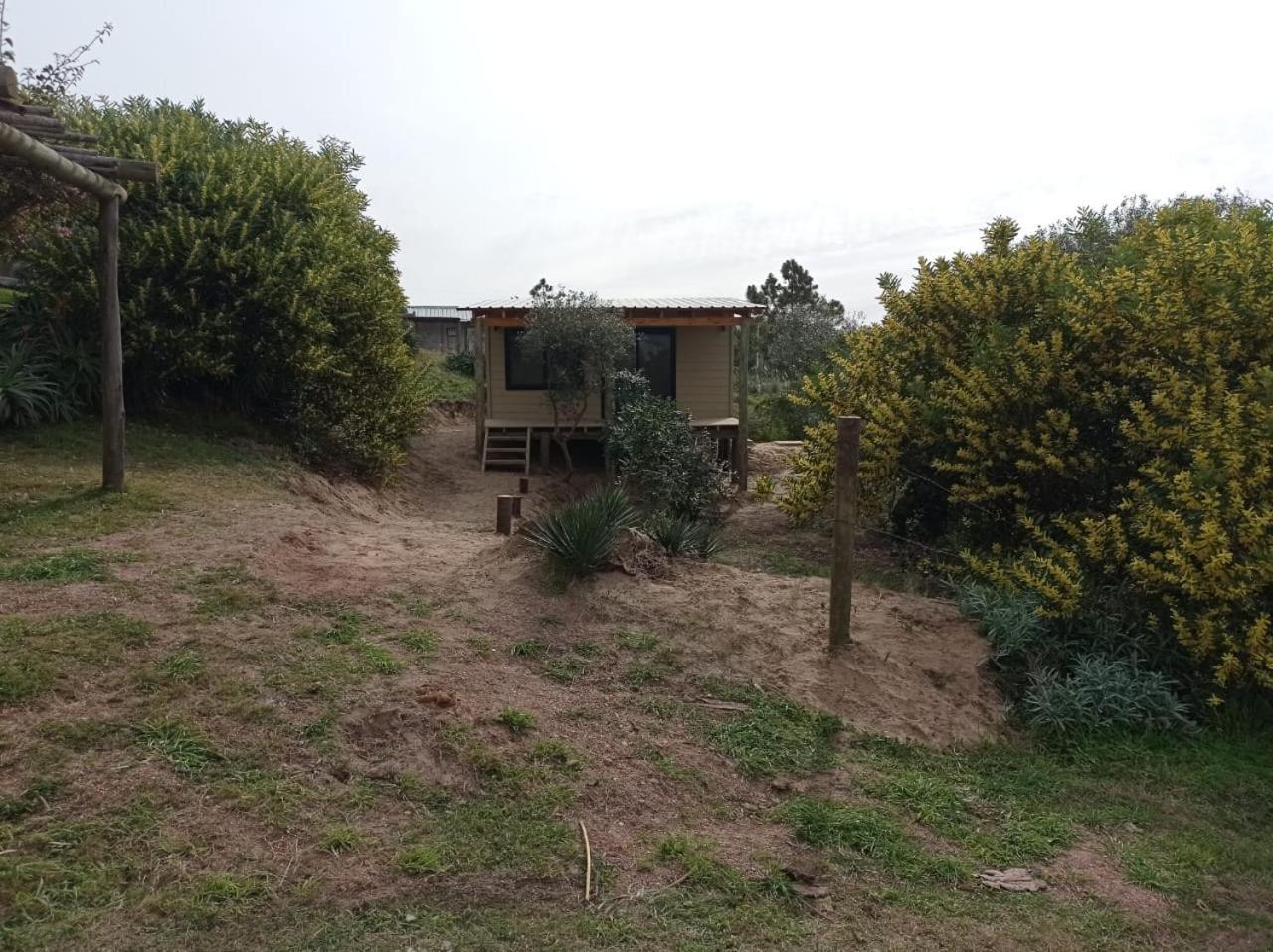 Cabaña Bientito