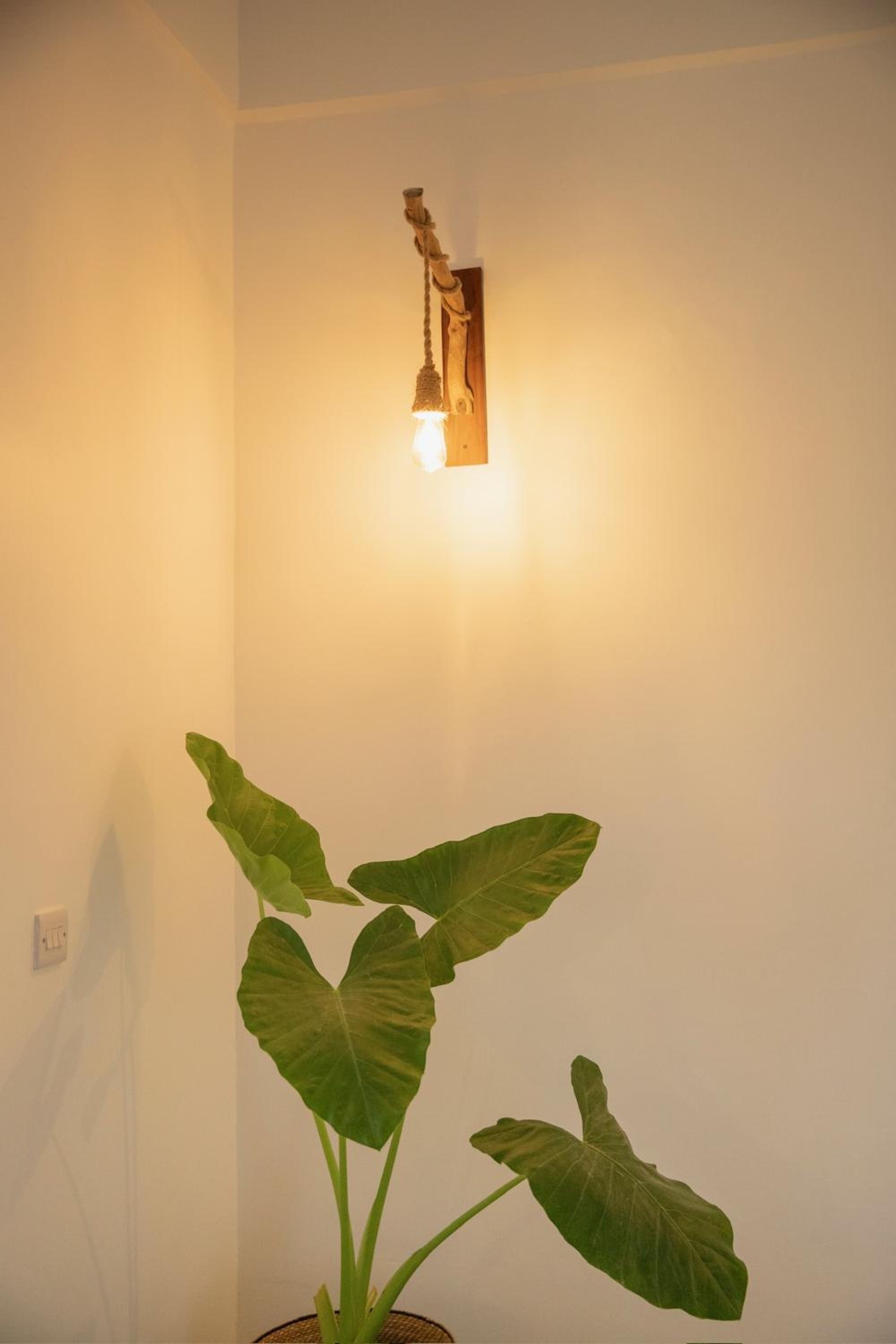 Photo 33