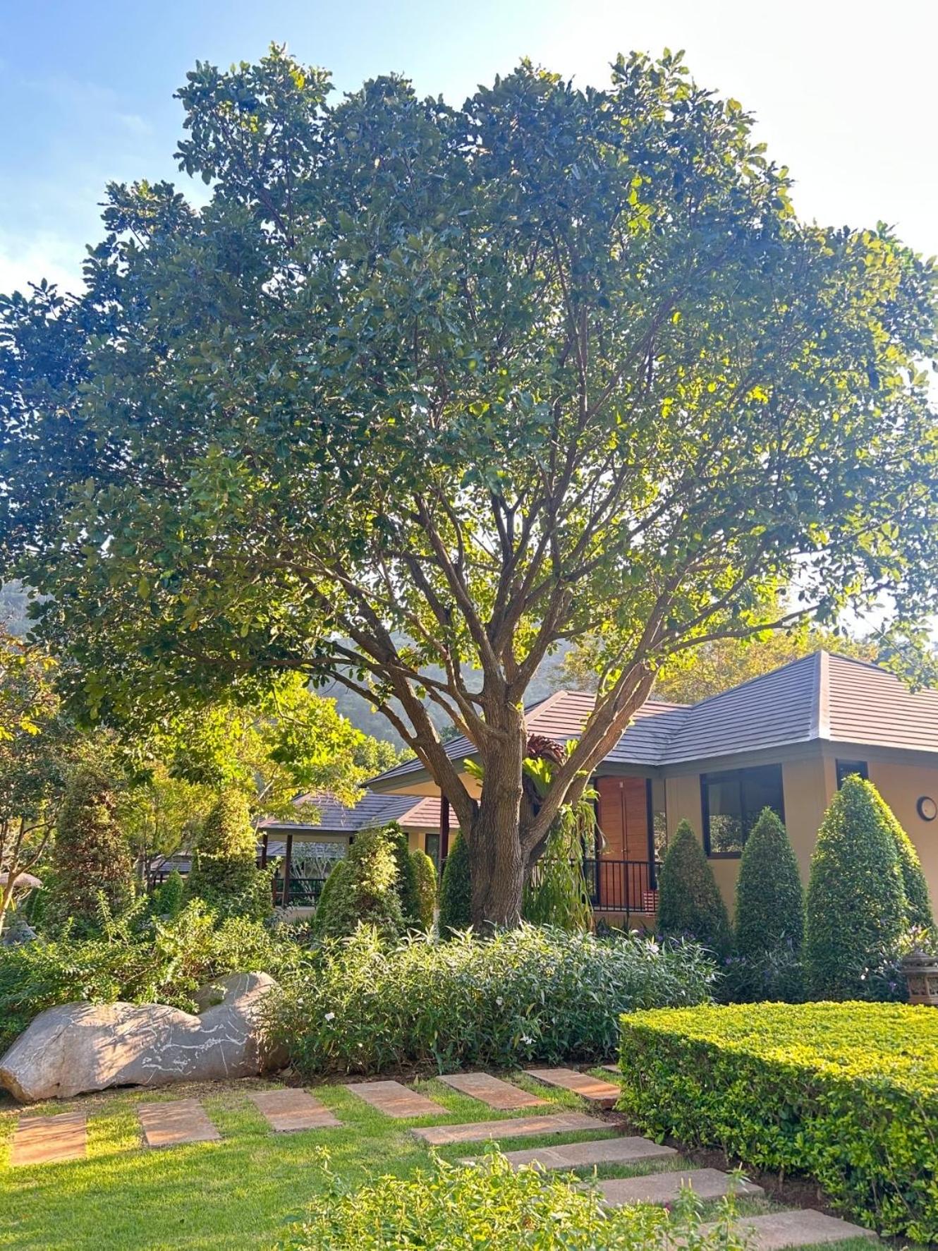 Khaokhab Lodge