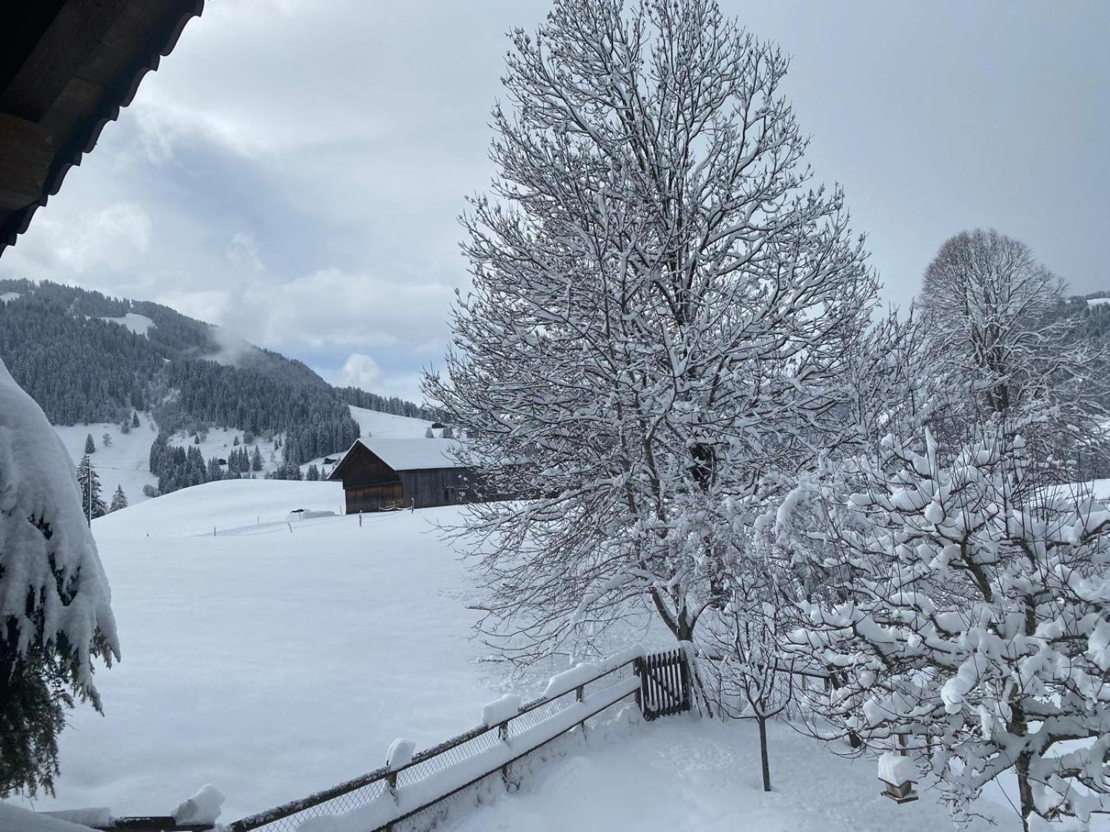 Gstaad Gem: Best Alps View Serene Pond