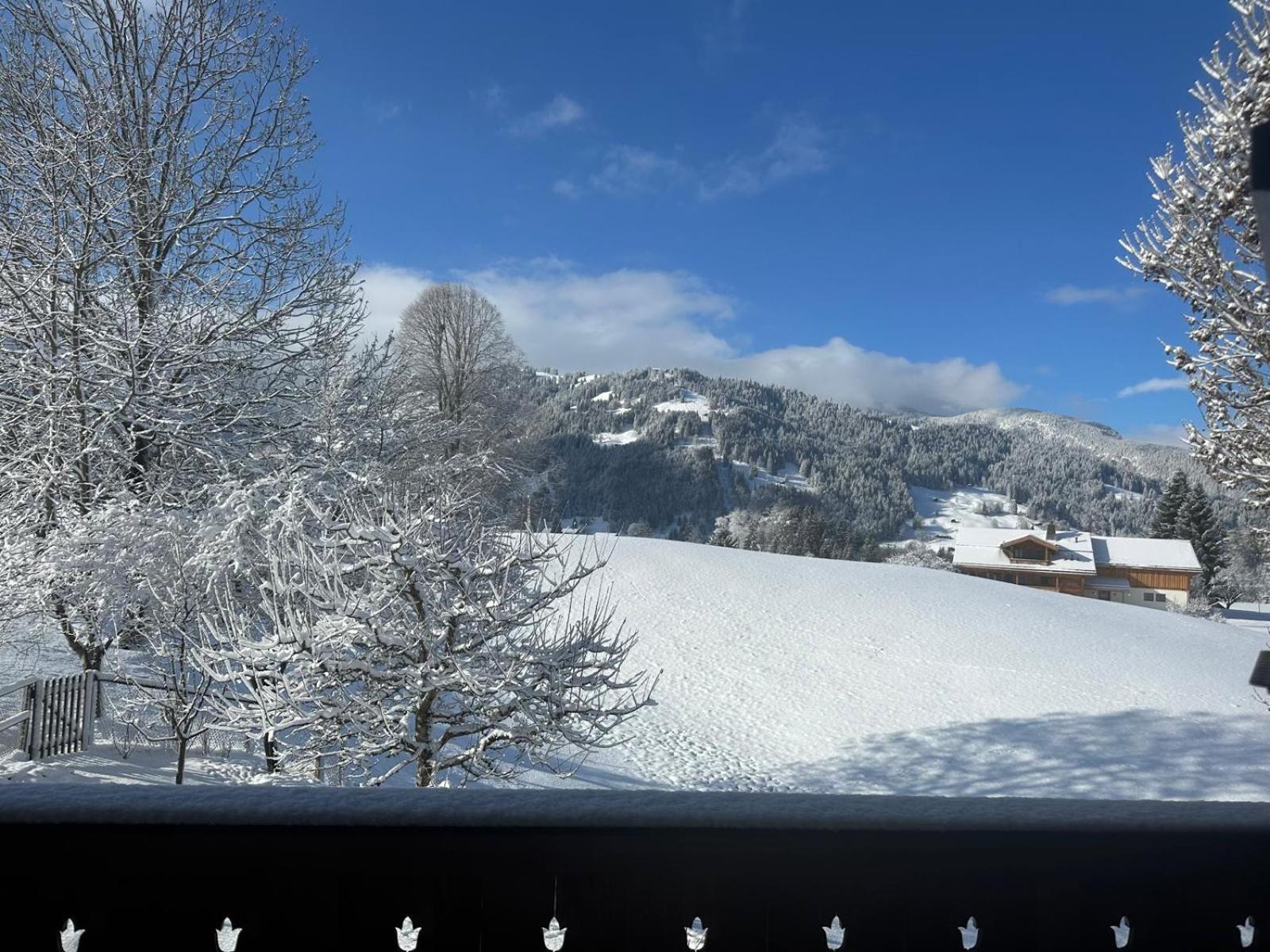 Gstaad Gem: Best Alps View Serene Pond