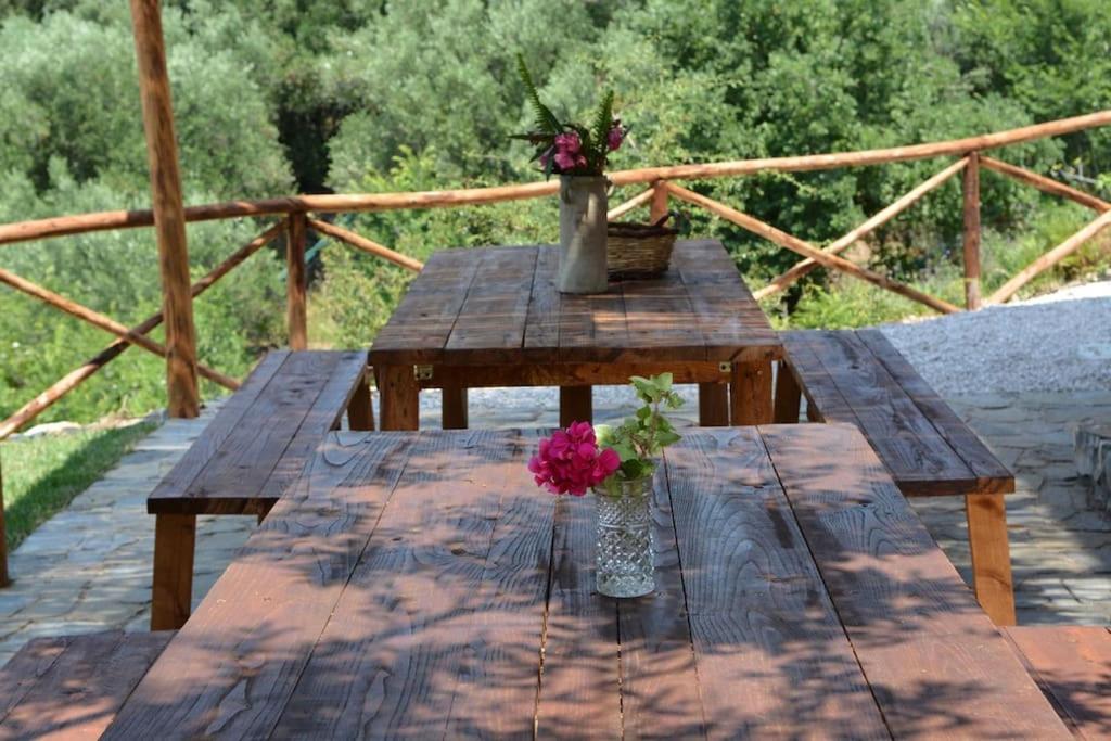 Villa con piscina nel Cilento Casolare Cento Ulivi Luxury & Charme