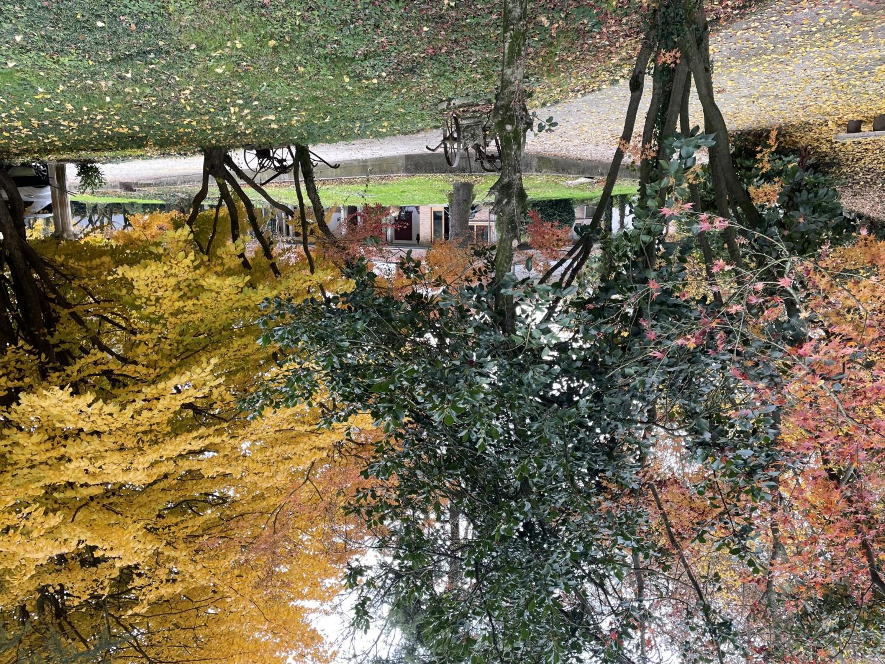 Photo 46