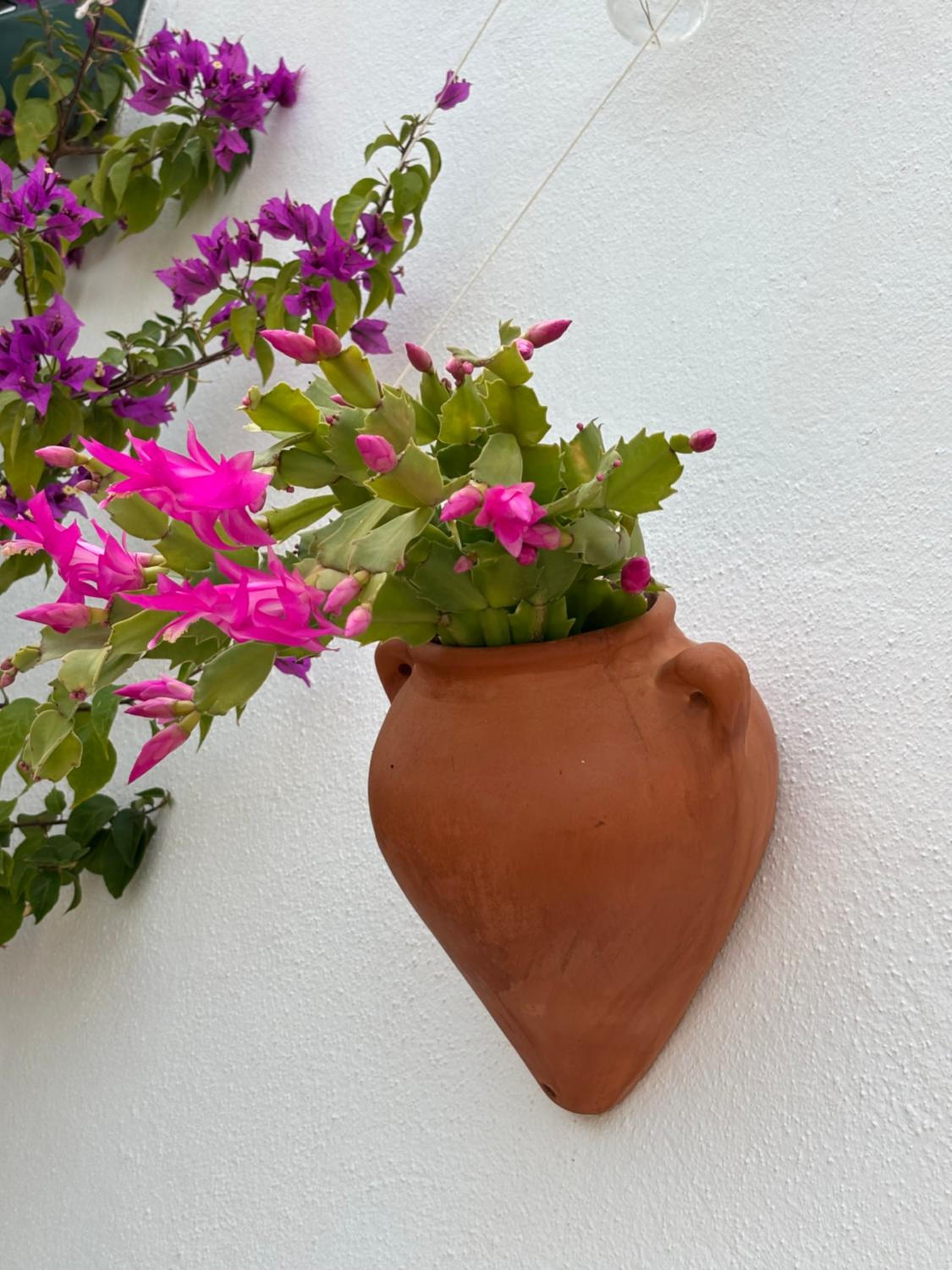 Casa Alta B&B photo 5