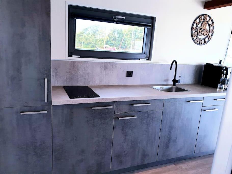 Houseboat Isola close to Amsterdam view 4