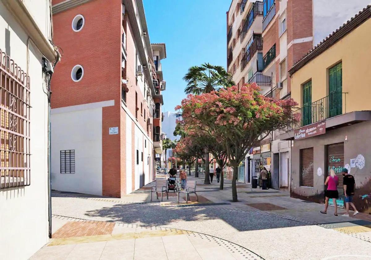 VIP HOUSE RENTALS, entire apartment in Malaga Old Town