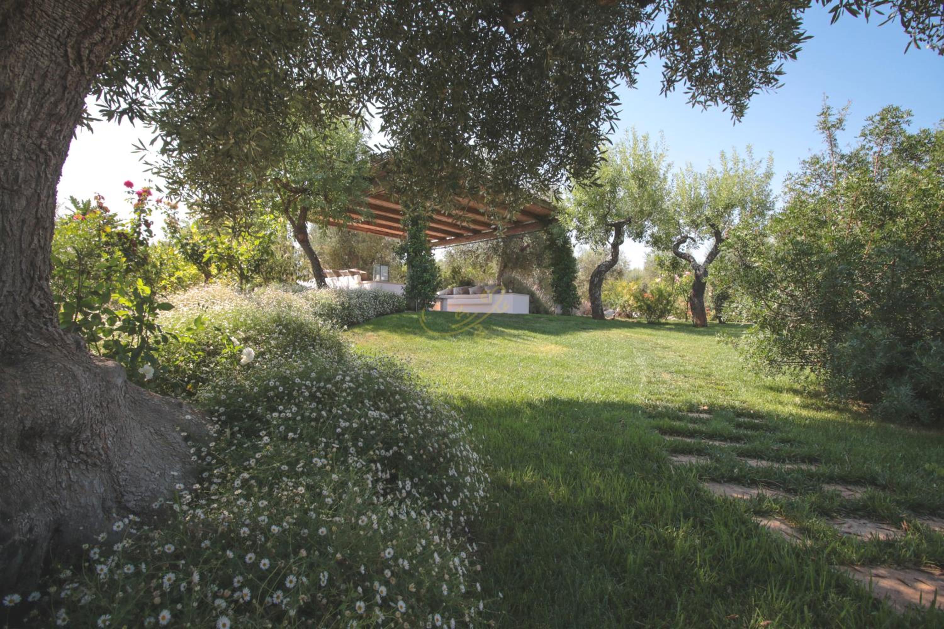 Photo 35