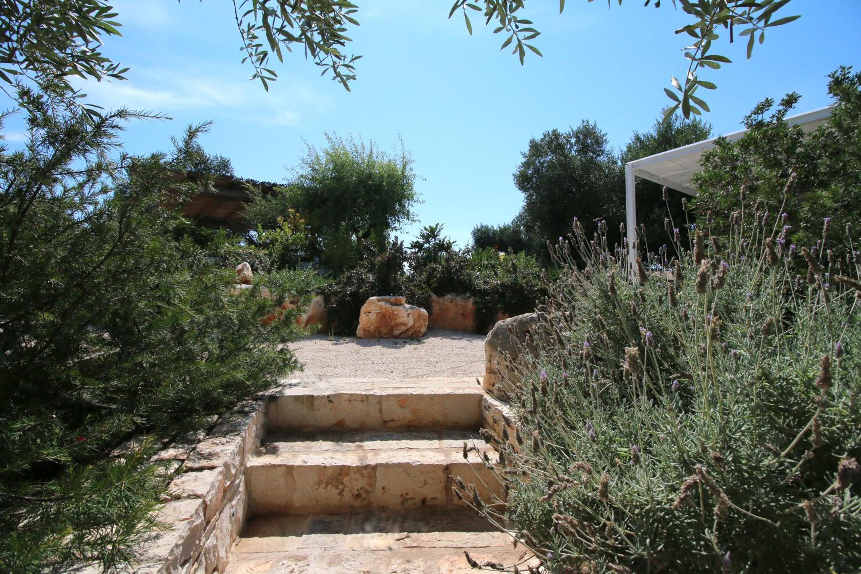 Photo 27