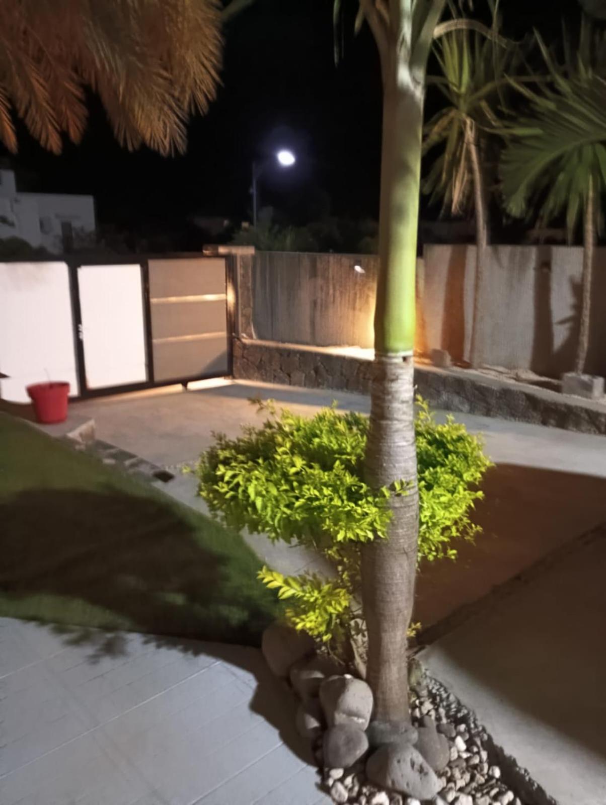 Photo 26