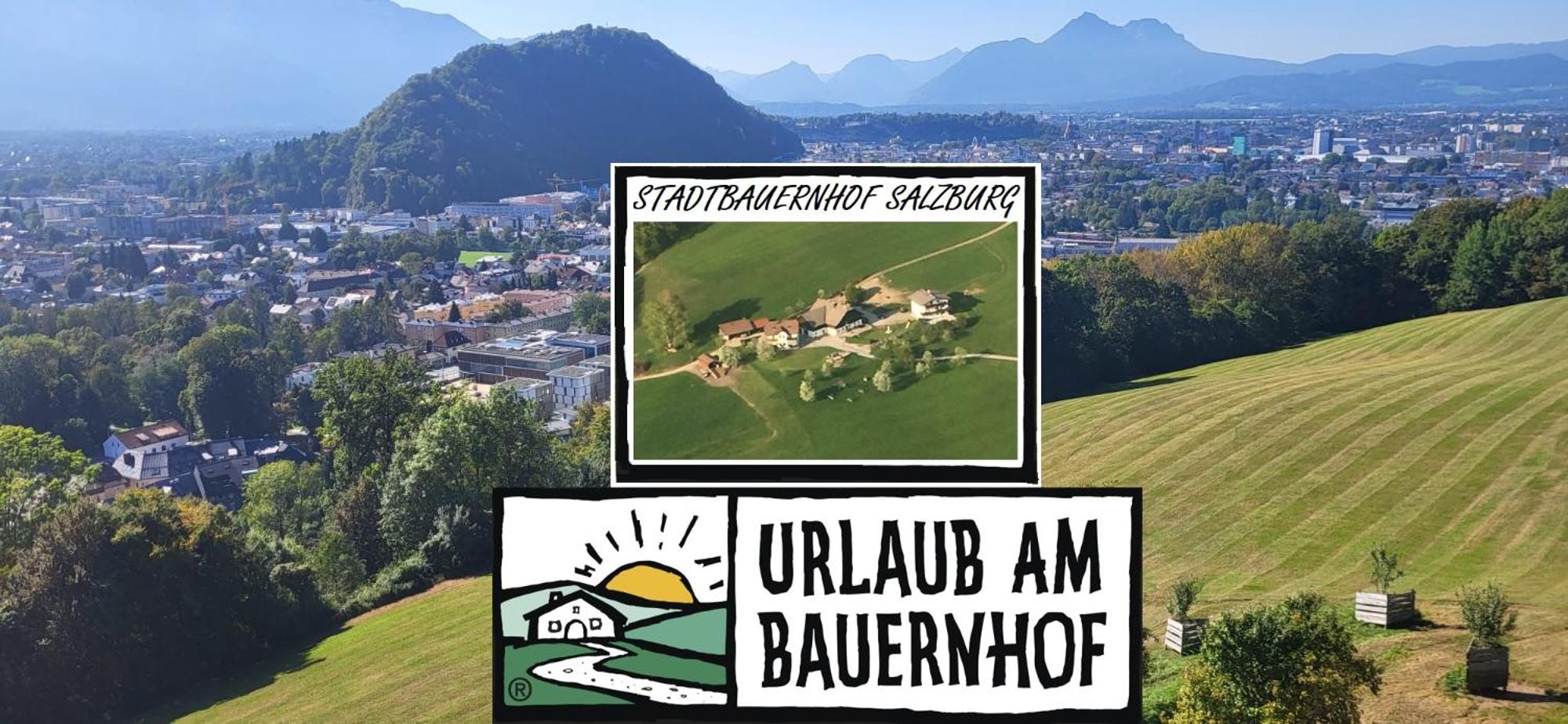 Stadtbauernhof Salzburg - Ferienwohnung - Gut Unterleithen - farm & the city