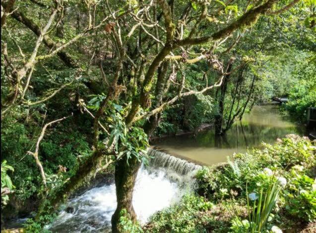 River Home