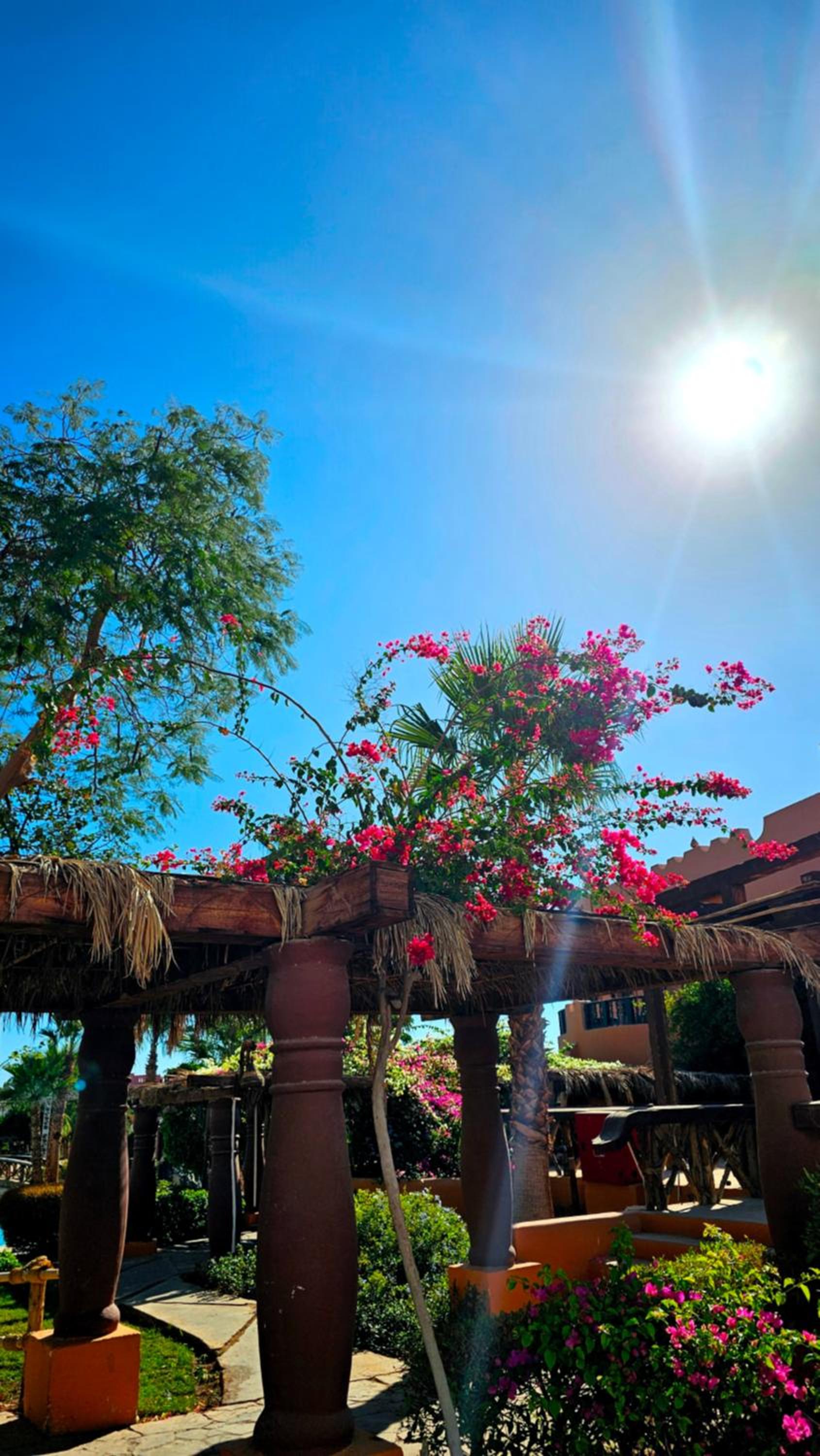 Blue Bay Apartments Delta Sharm