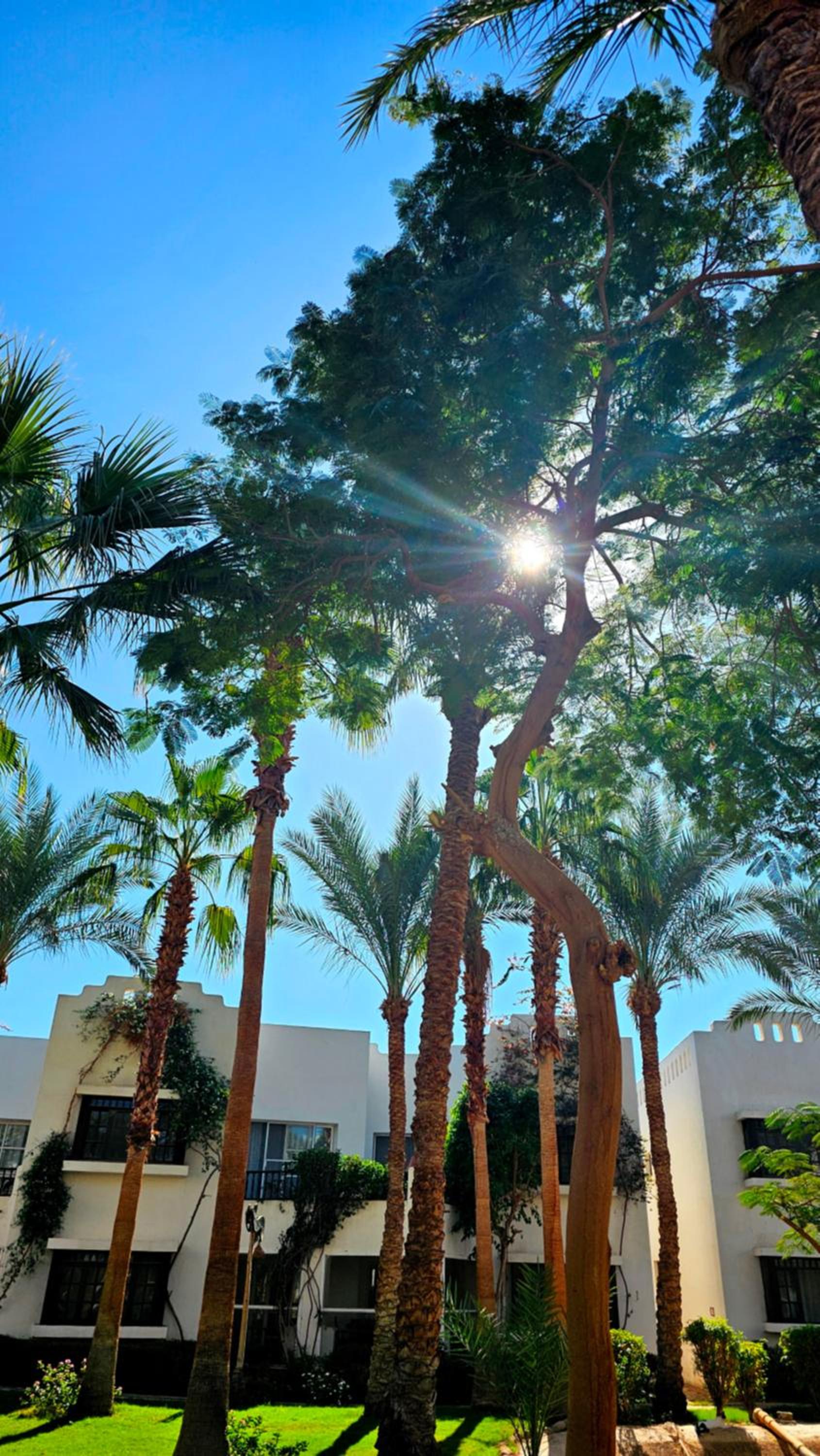 Blue Bay Apartments Delta Sharm