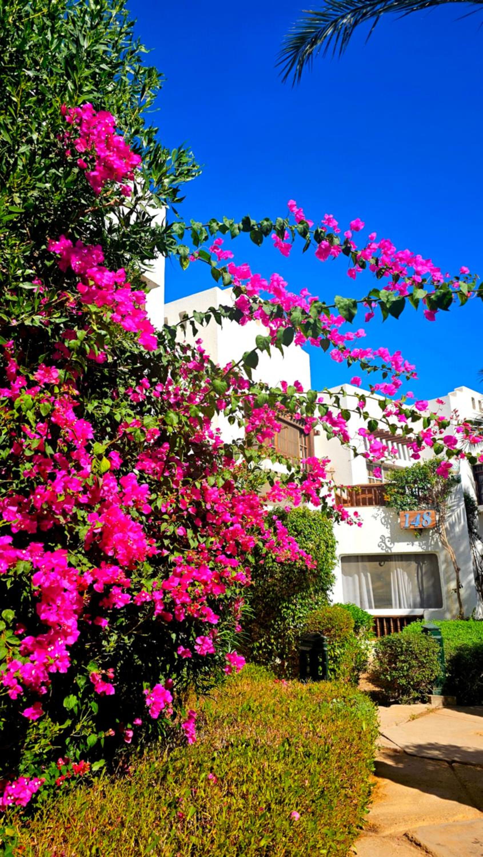 Blue Bay Apartments Delta Sharm