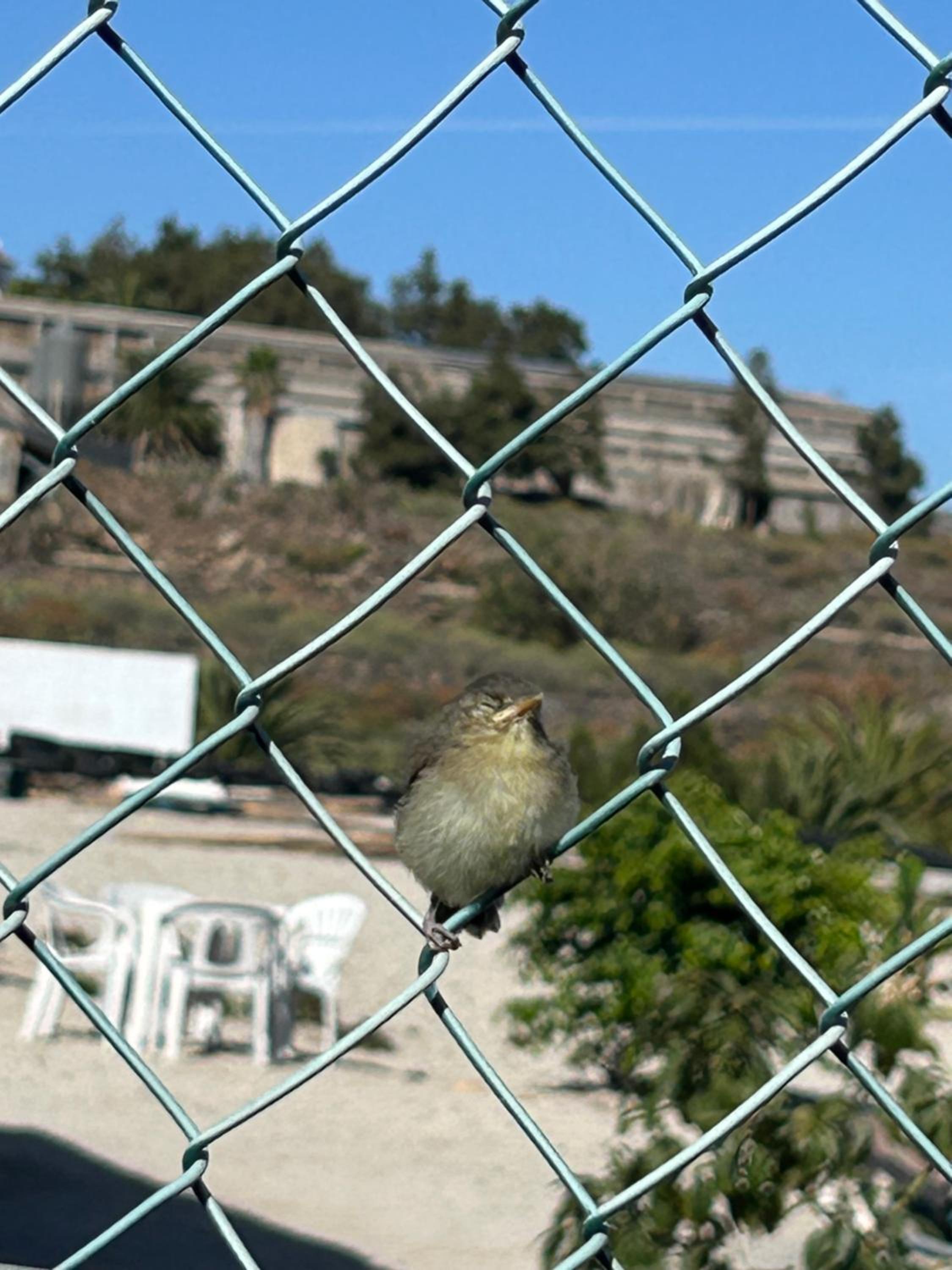 Casa Mirador
