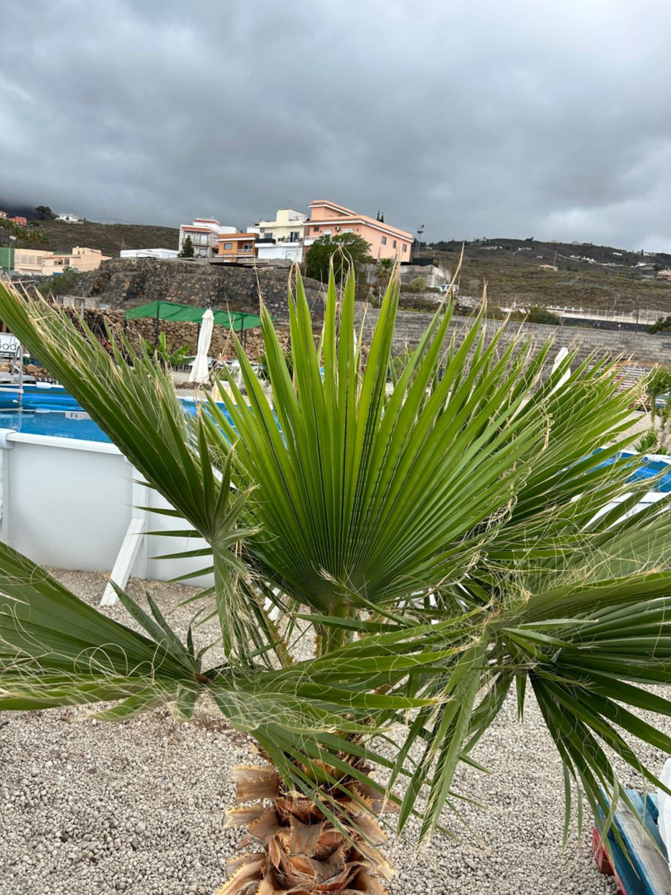 Casa Mirador