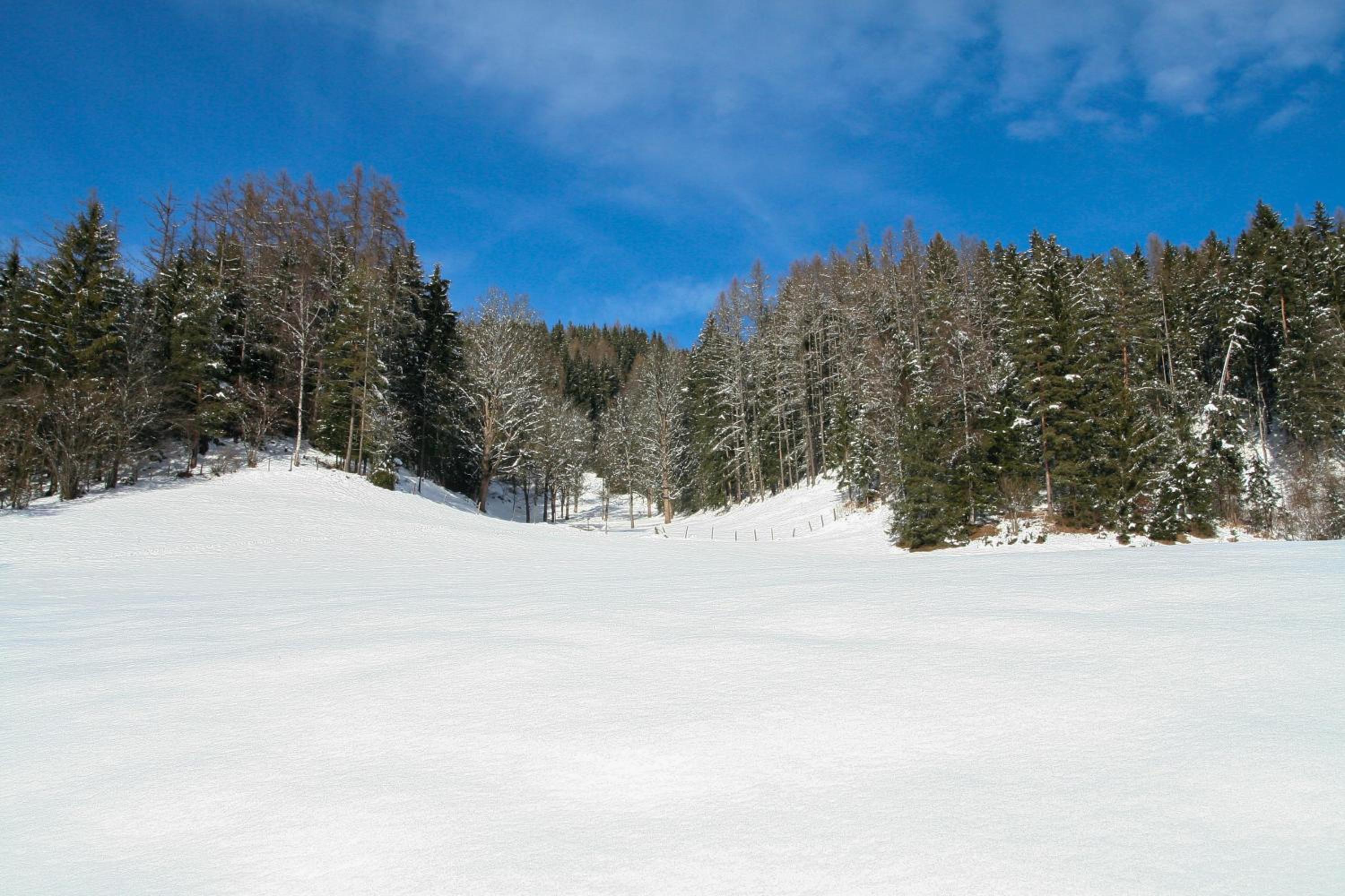Appartement Mei Liab Schladming