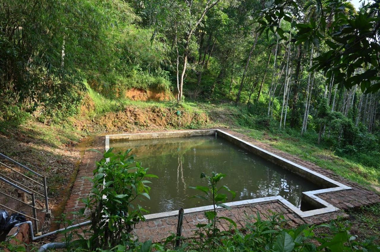 Warumala Hides